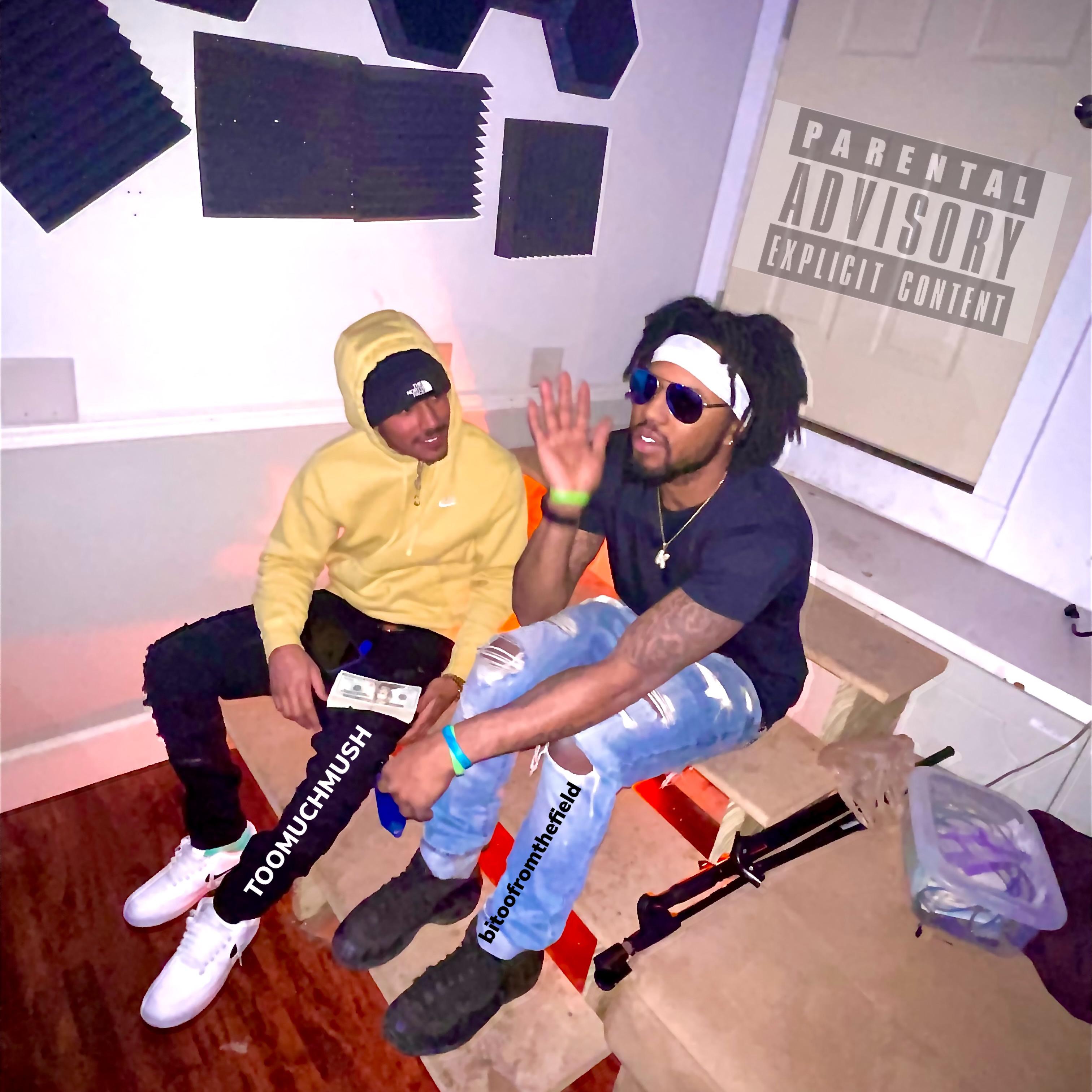 One Take (bitoofromthefield) by TOOMUCHMUSH cover art