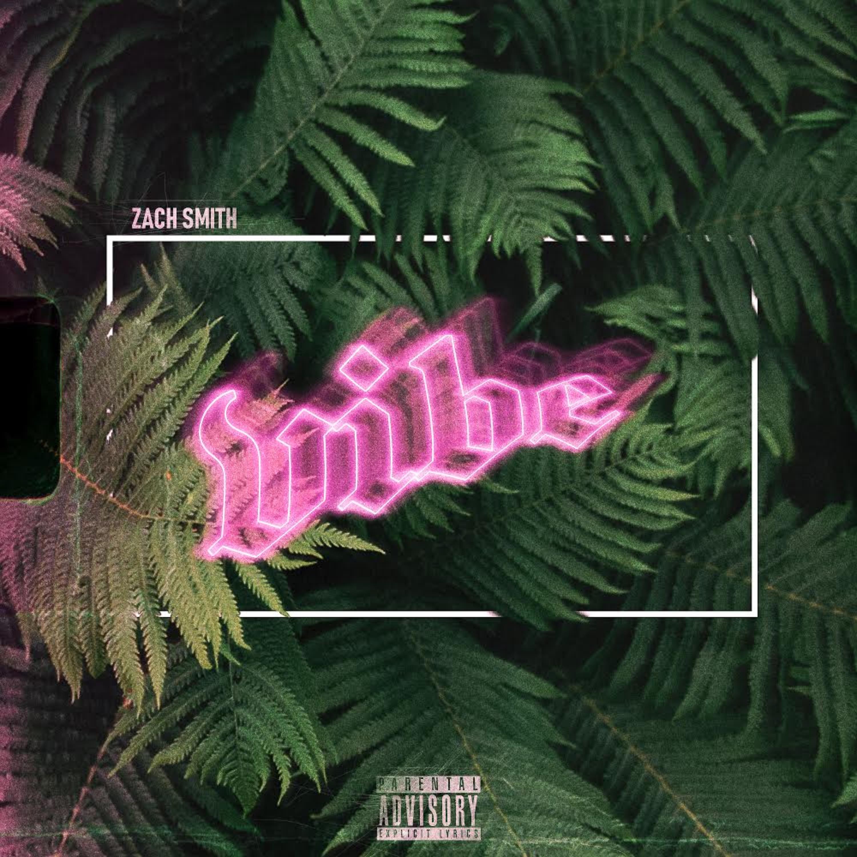 Vibe artwork