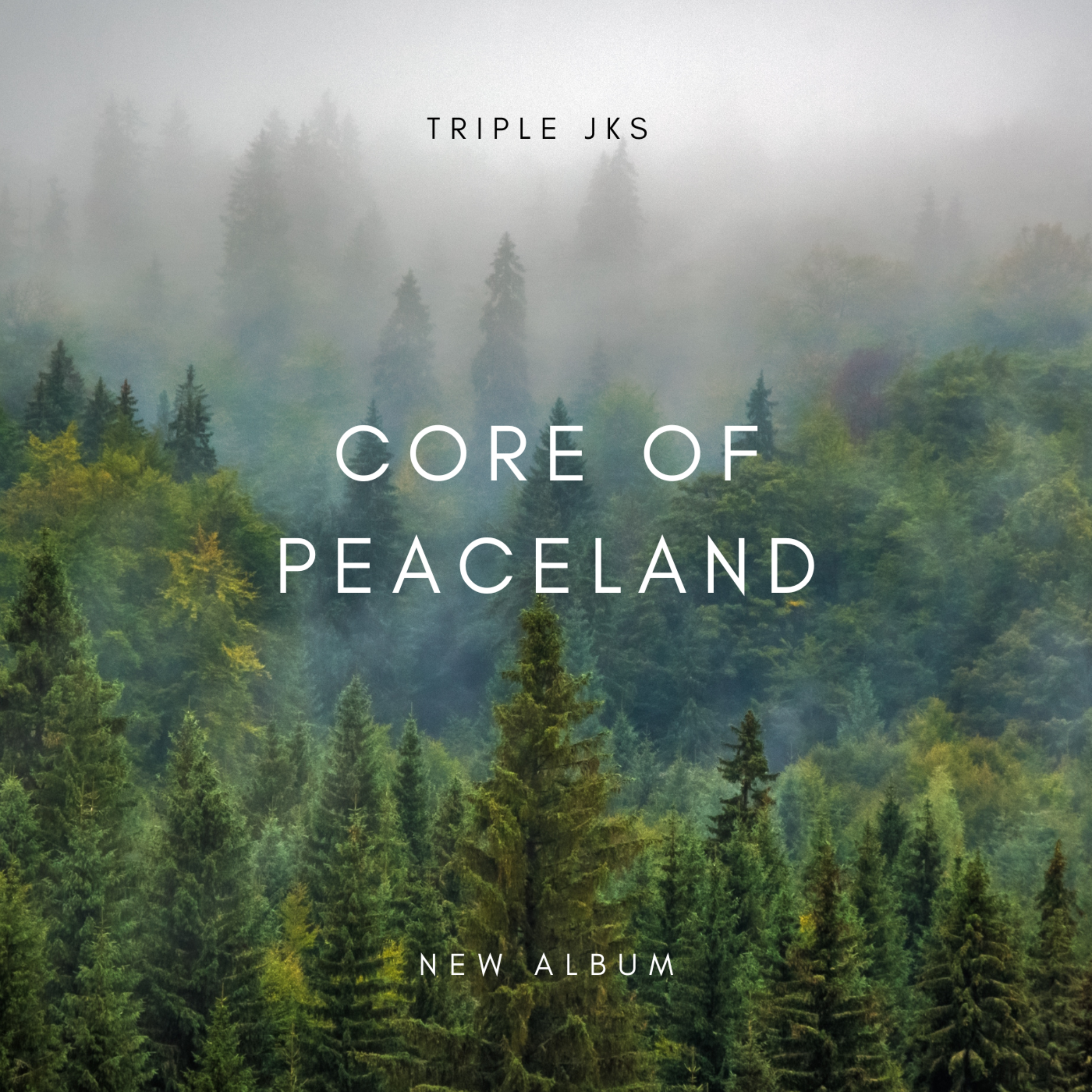 Core Of The Peaceland artwork