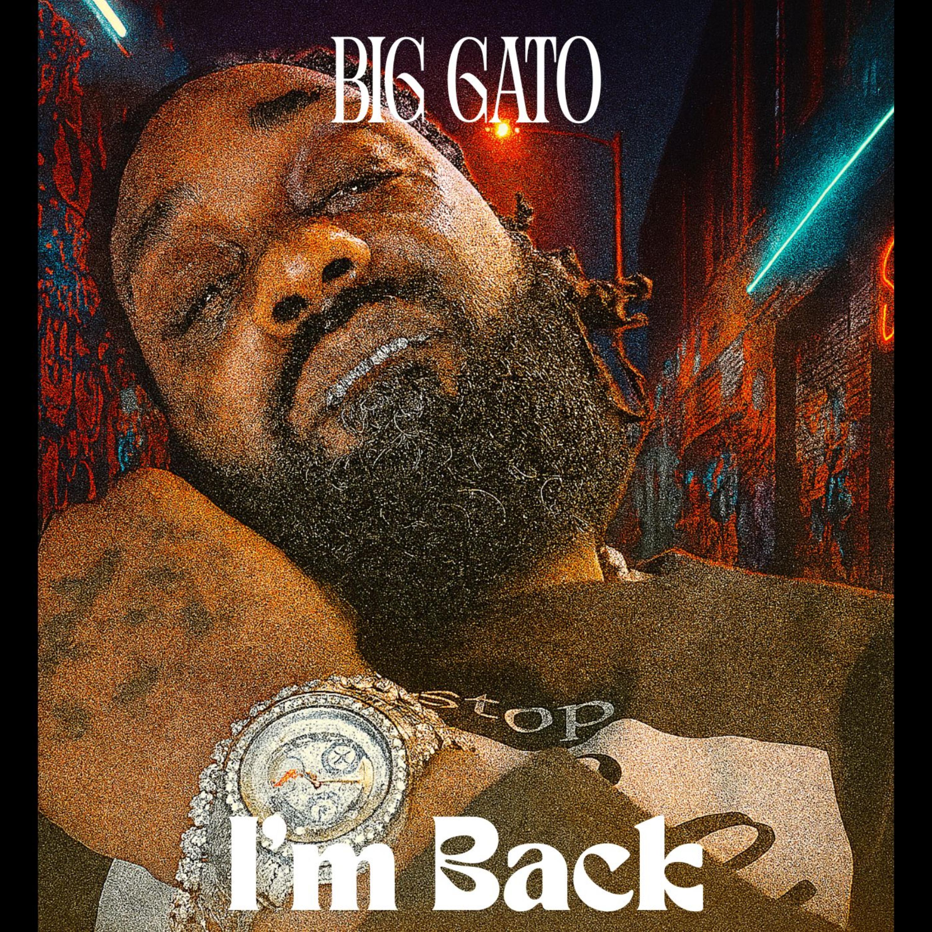 I'm Back artwork