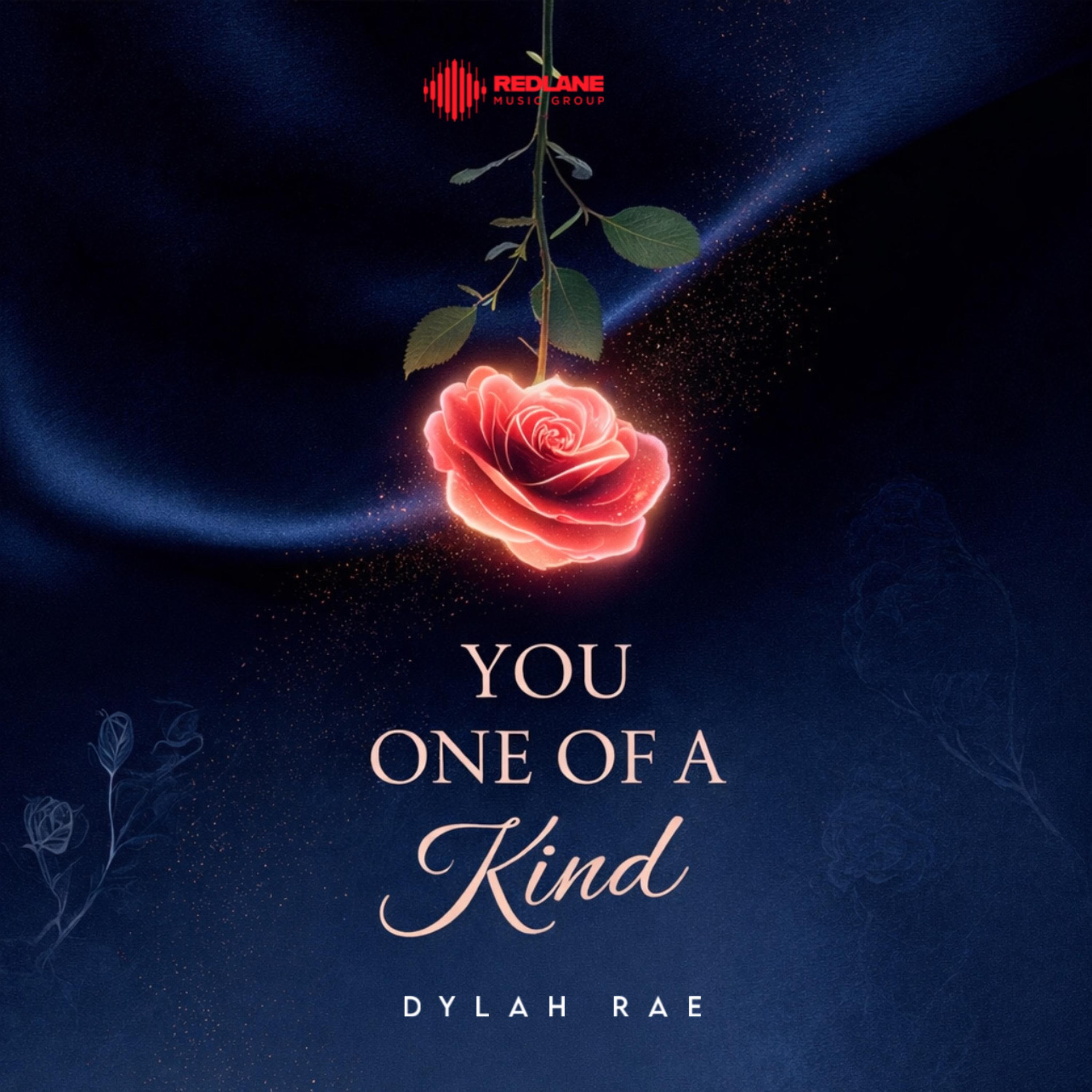 You One Of A Kind artwork