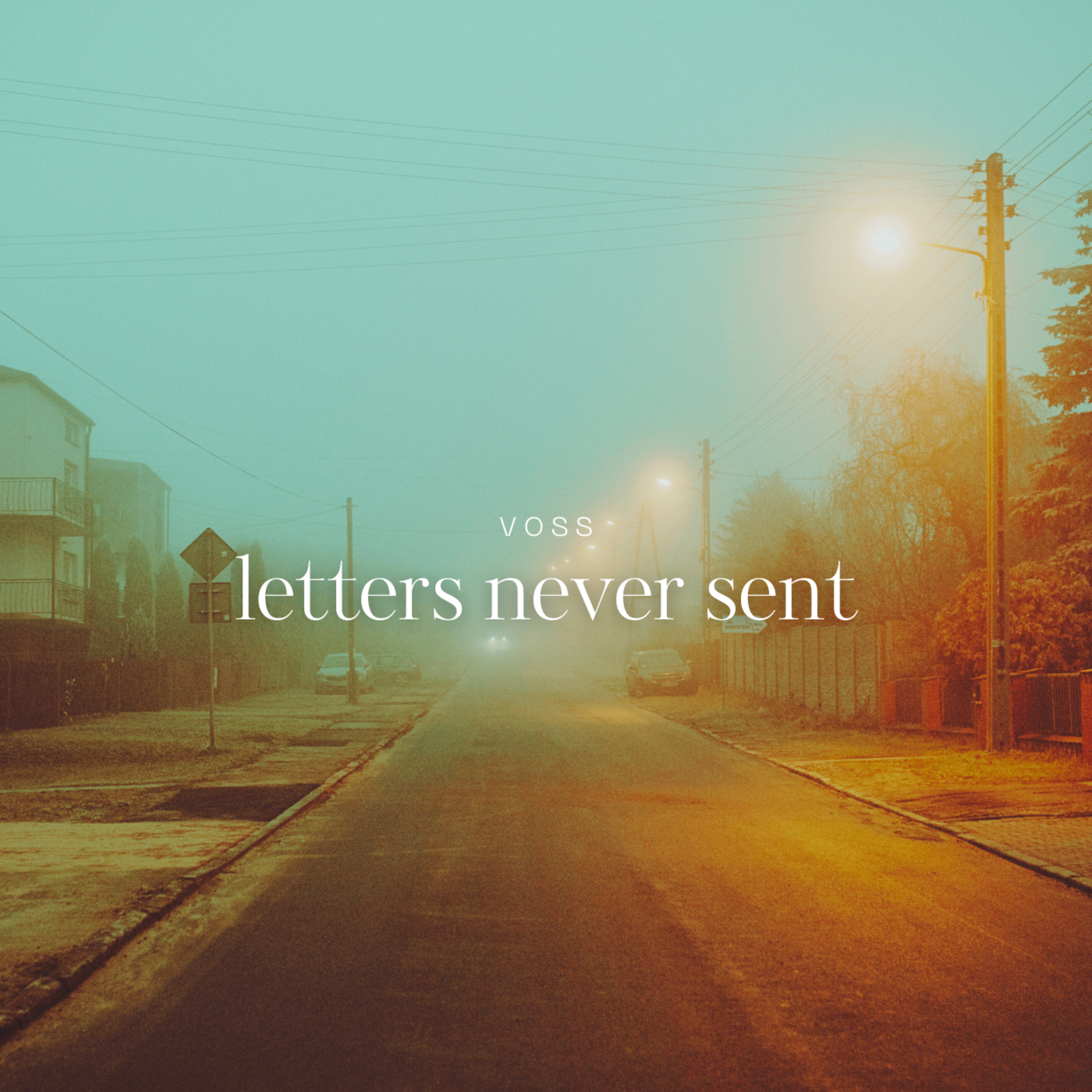 Letters Never Sent artwork