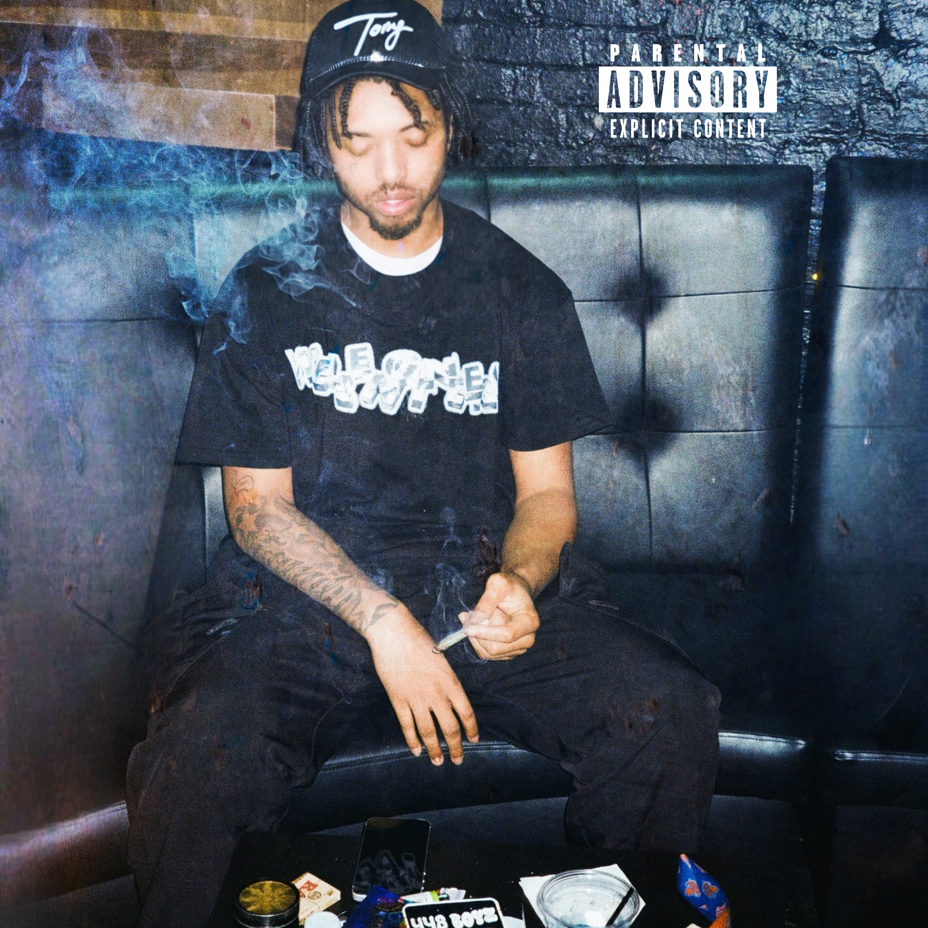 Celebrity House Parties artwork