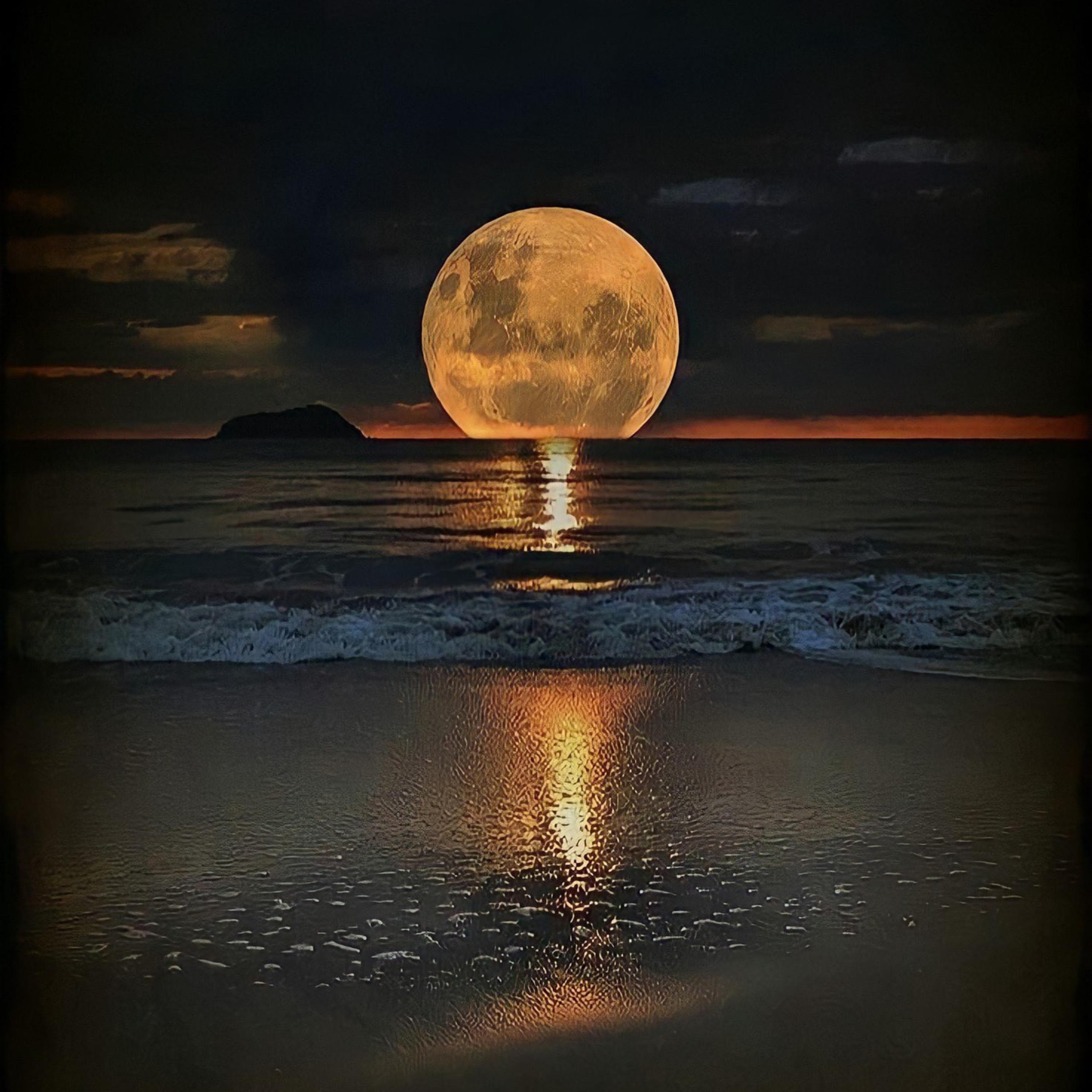 What You Gonna Do artwork