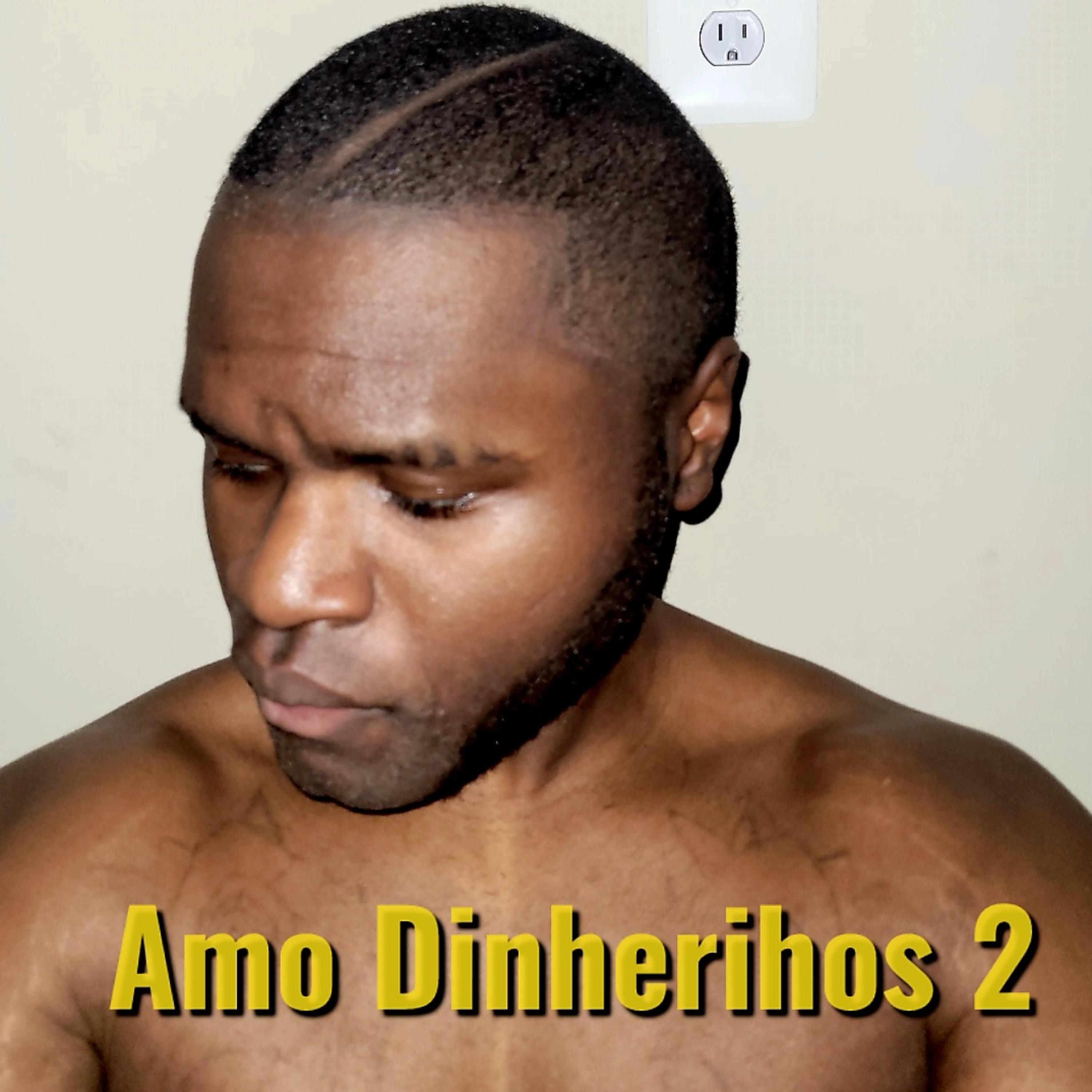 Amo Dinherihos 2 artwork