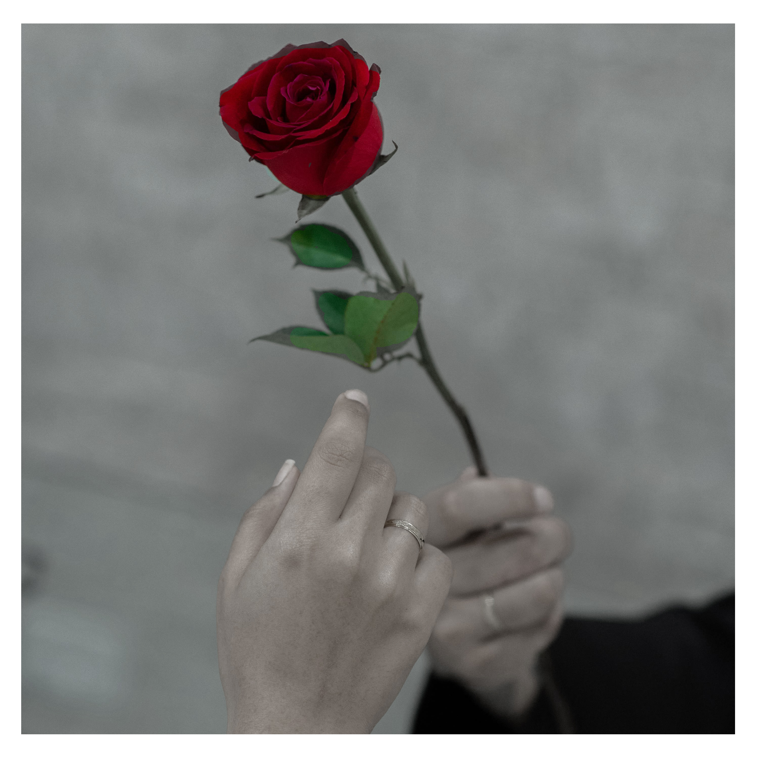 Give Me The Feeling artwork