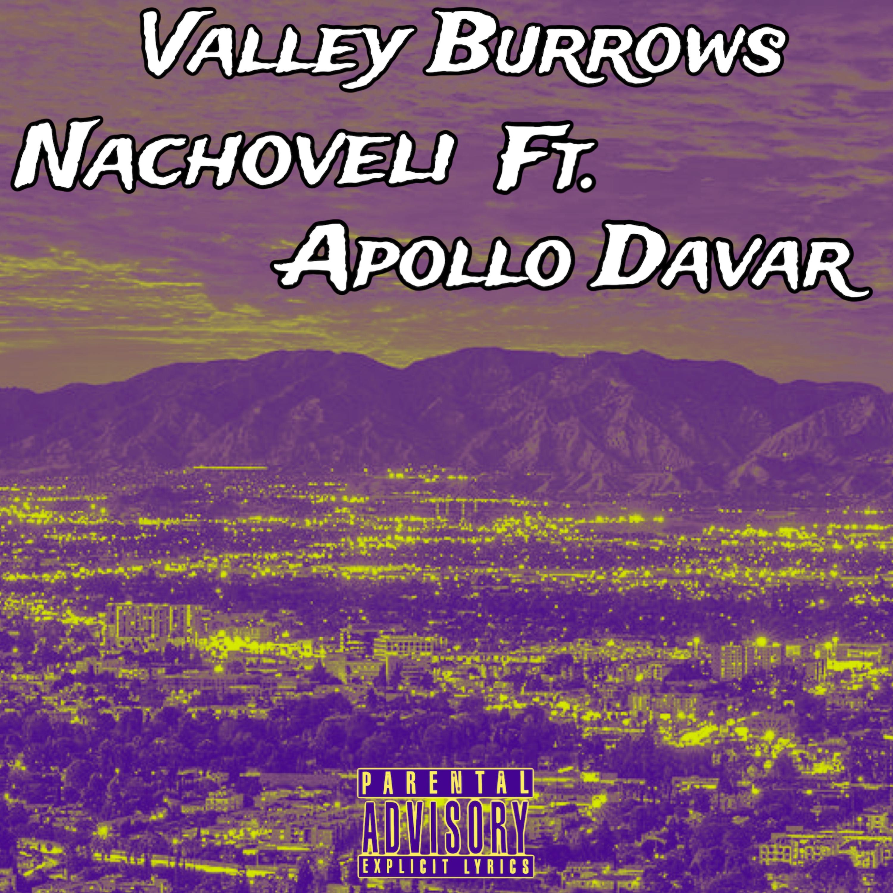 Valley Burrows artwork