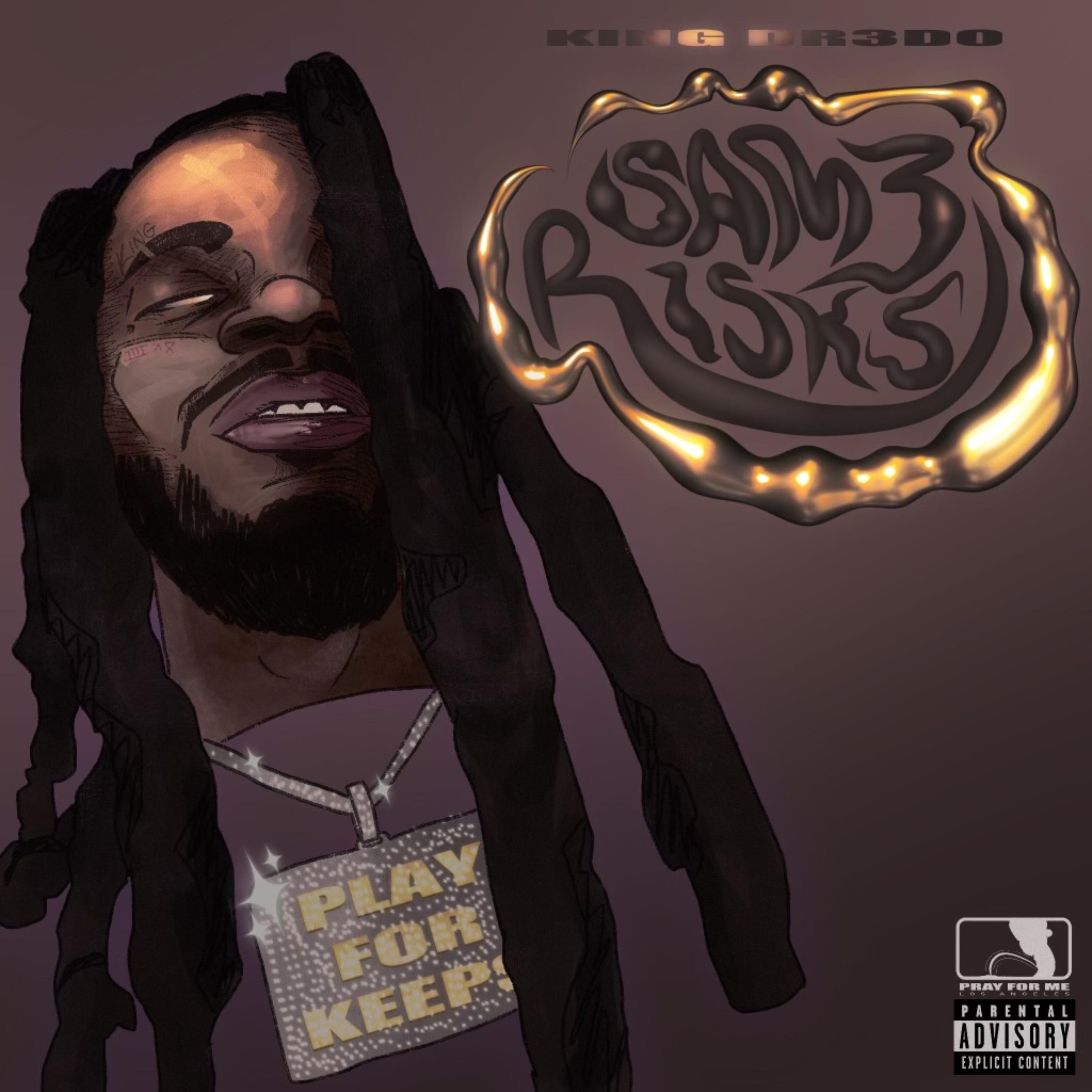 Same Risk artwork