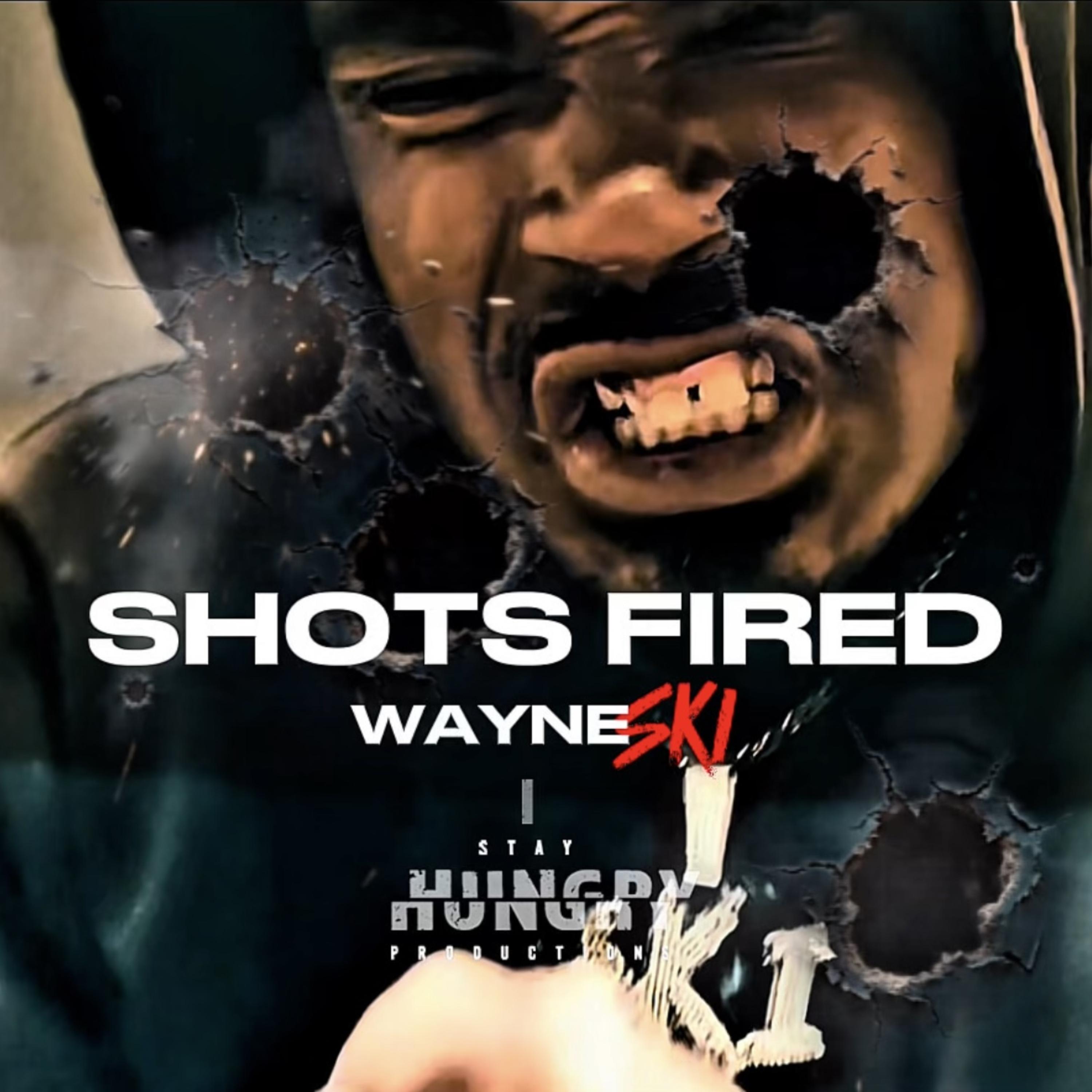 Shots Fired by Wayne SKI cover art