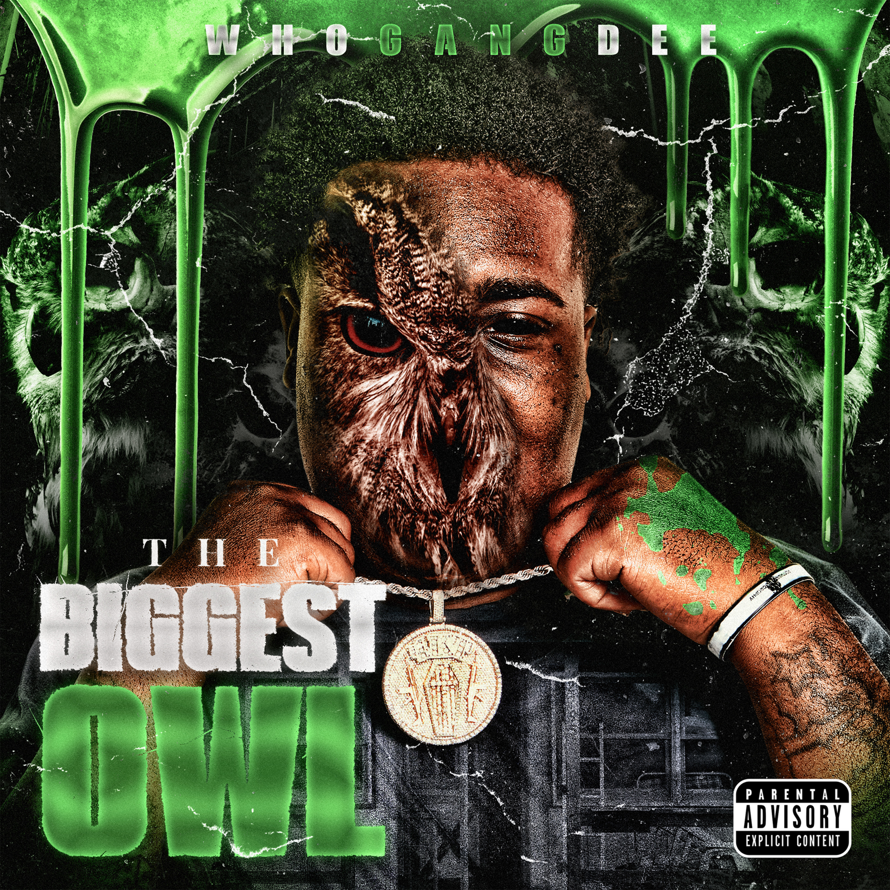 The Biggest Owl artwork