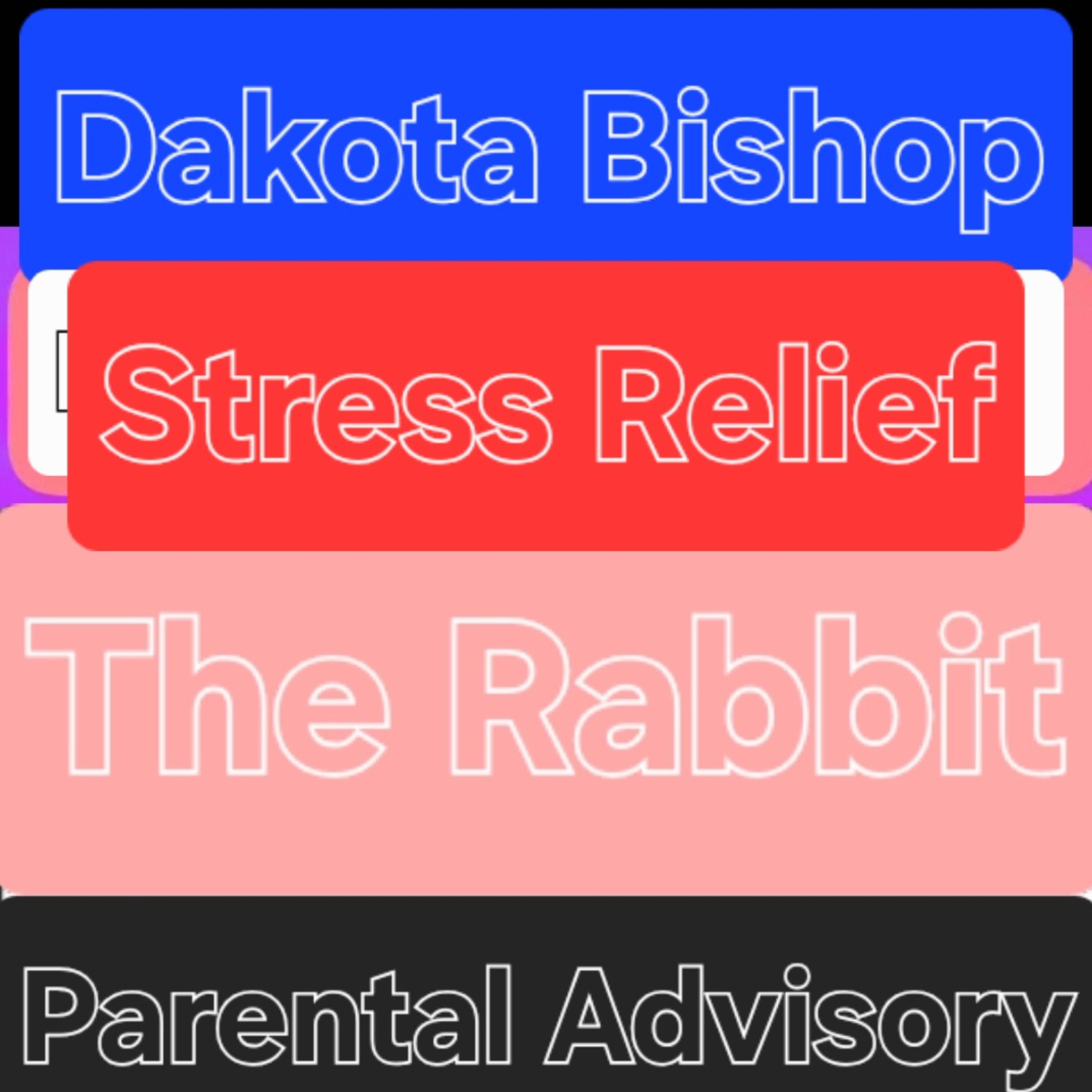 Stress Relief by Dakota Bishop cover art