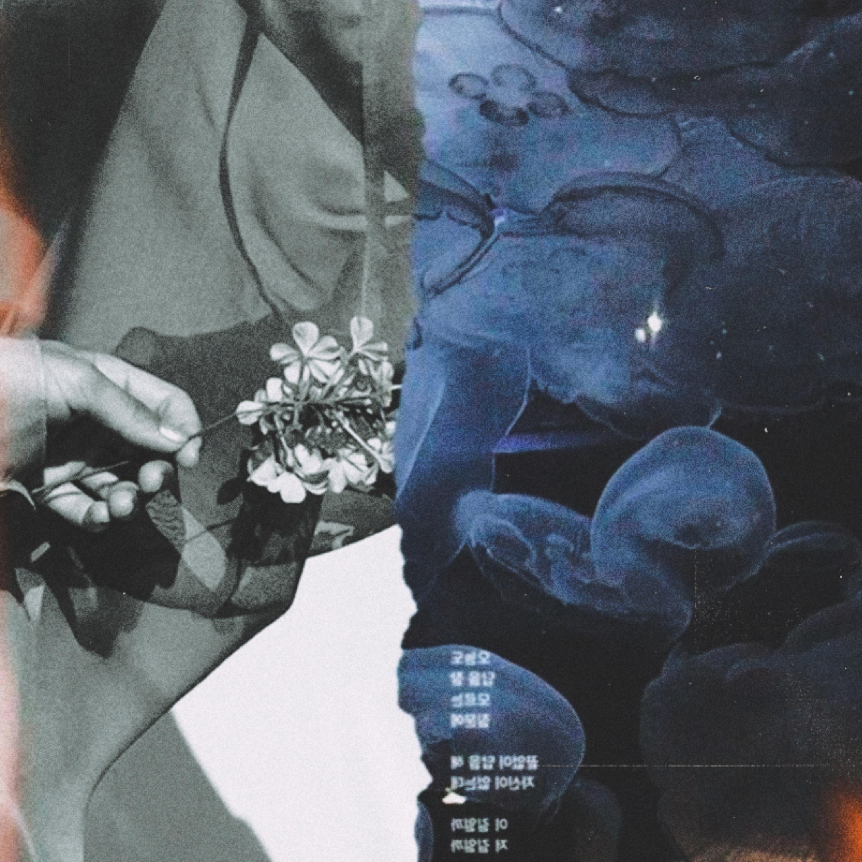 L$D artwork