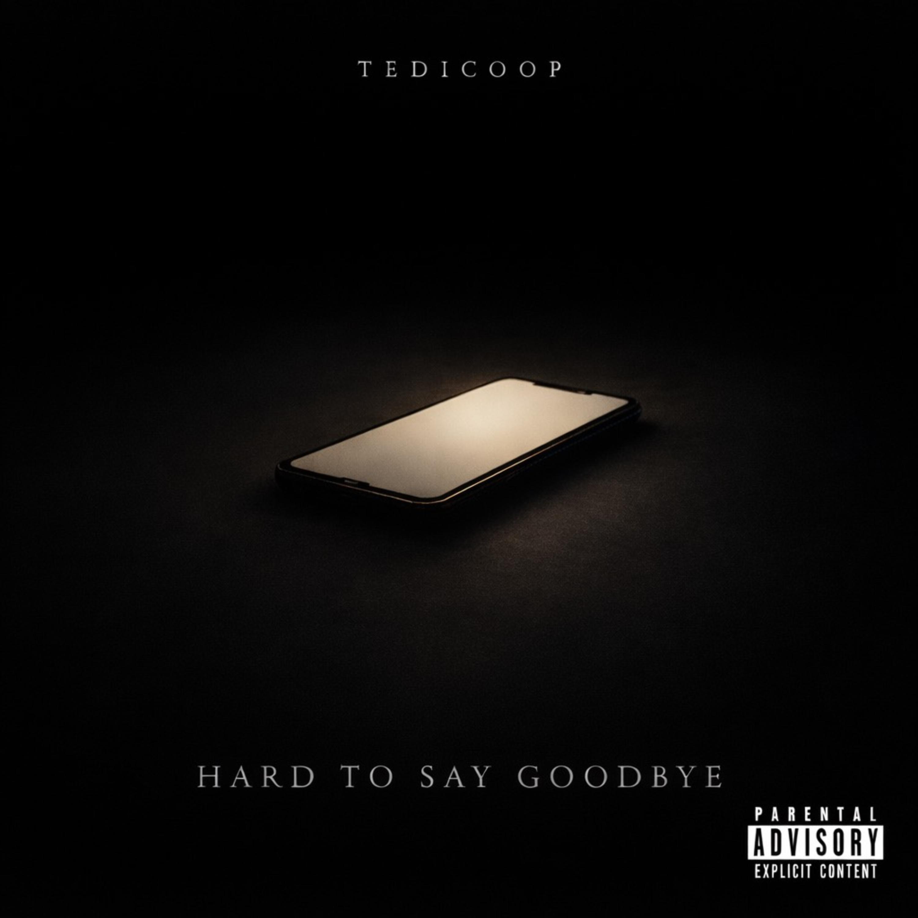 Hard To Say Goodbye artwork
