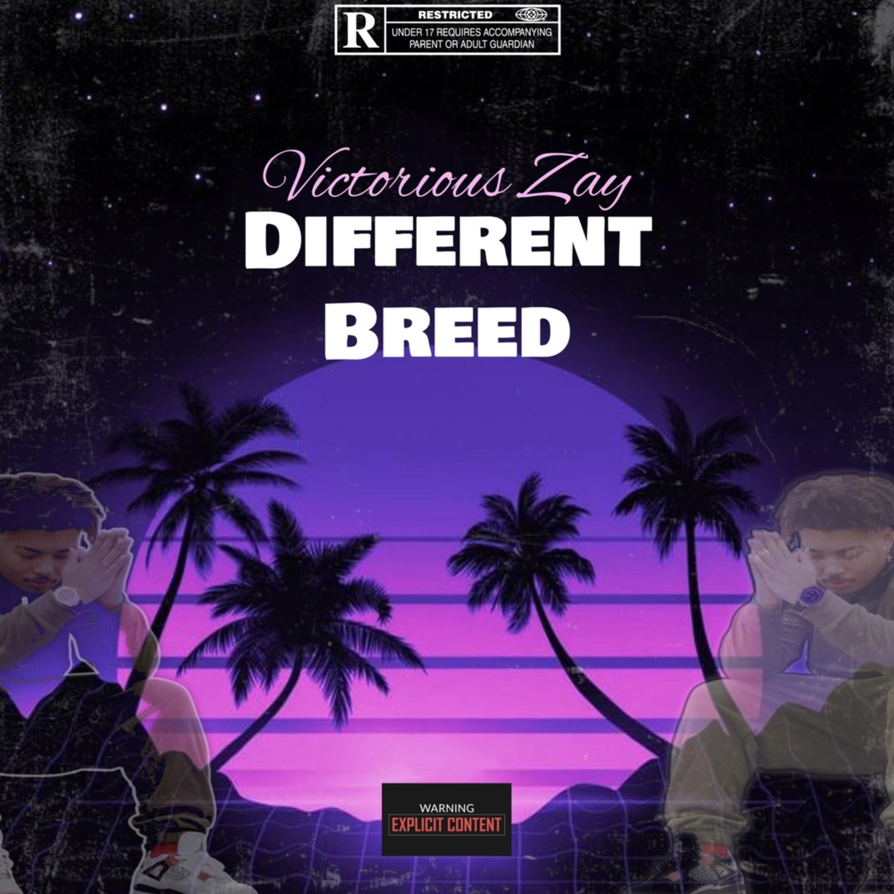 Different Breed artwork