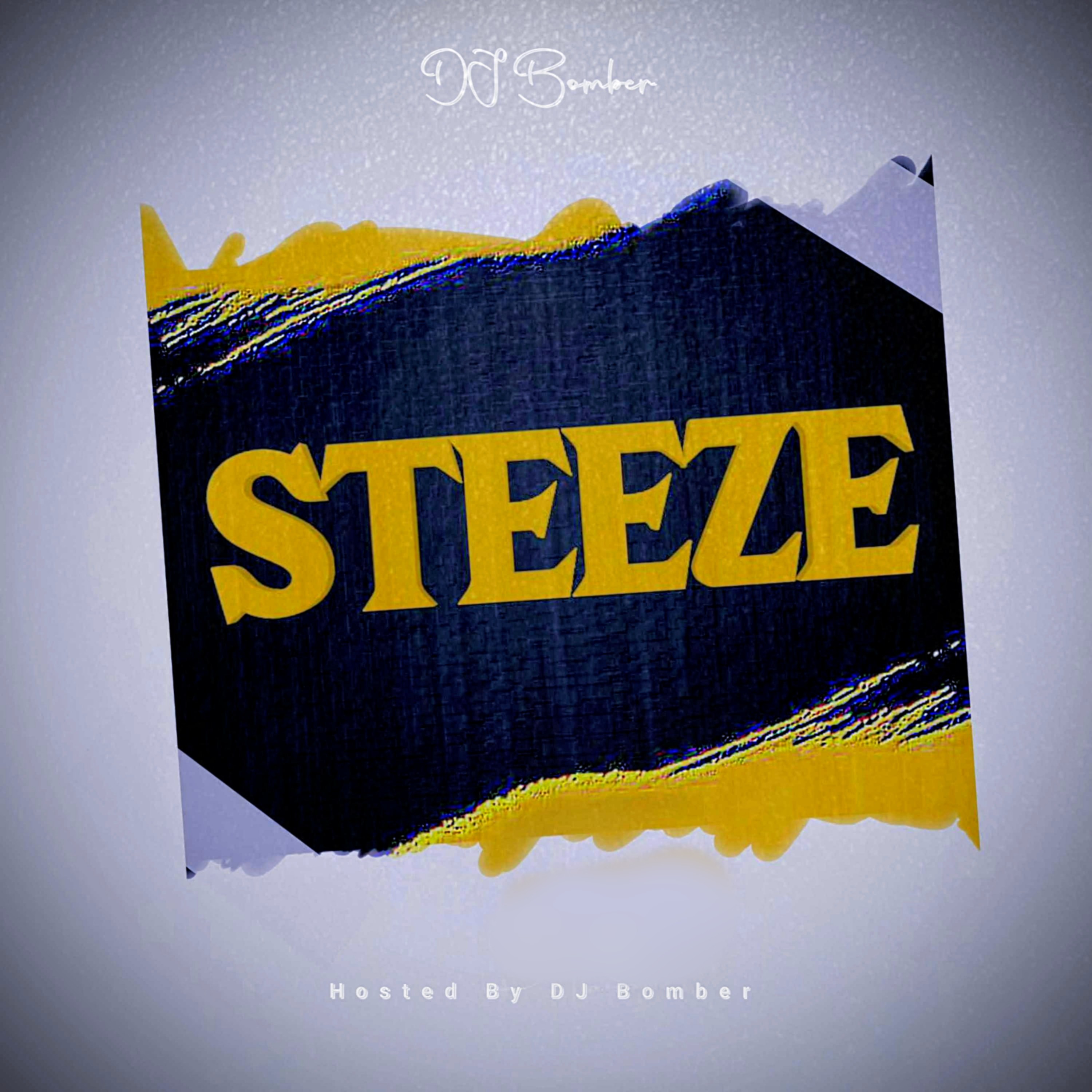Steeze artwork