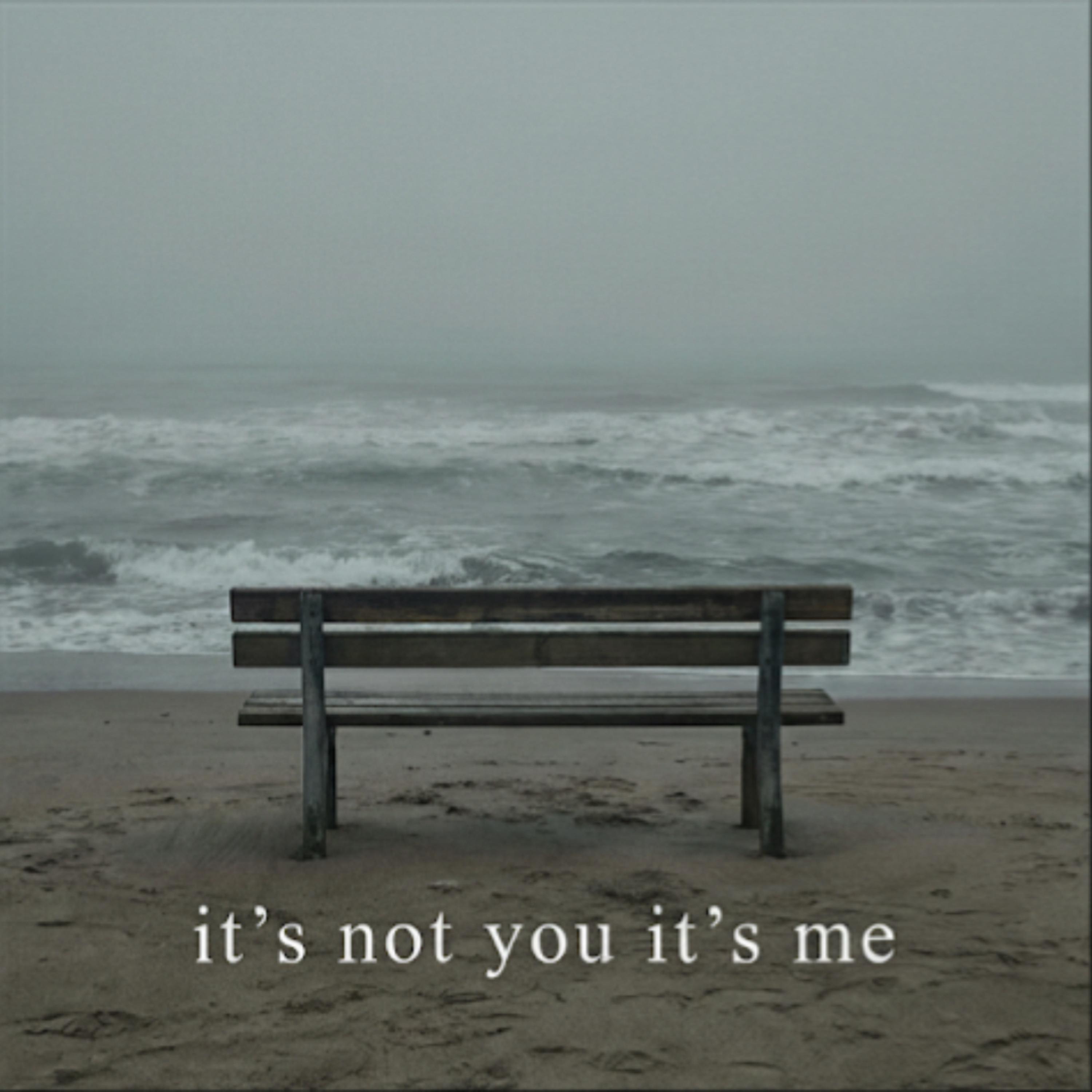 It’s Not You Its Me artwork
