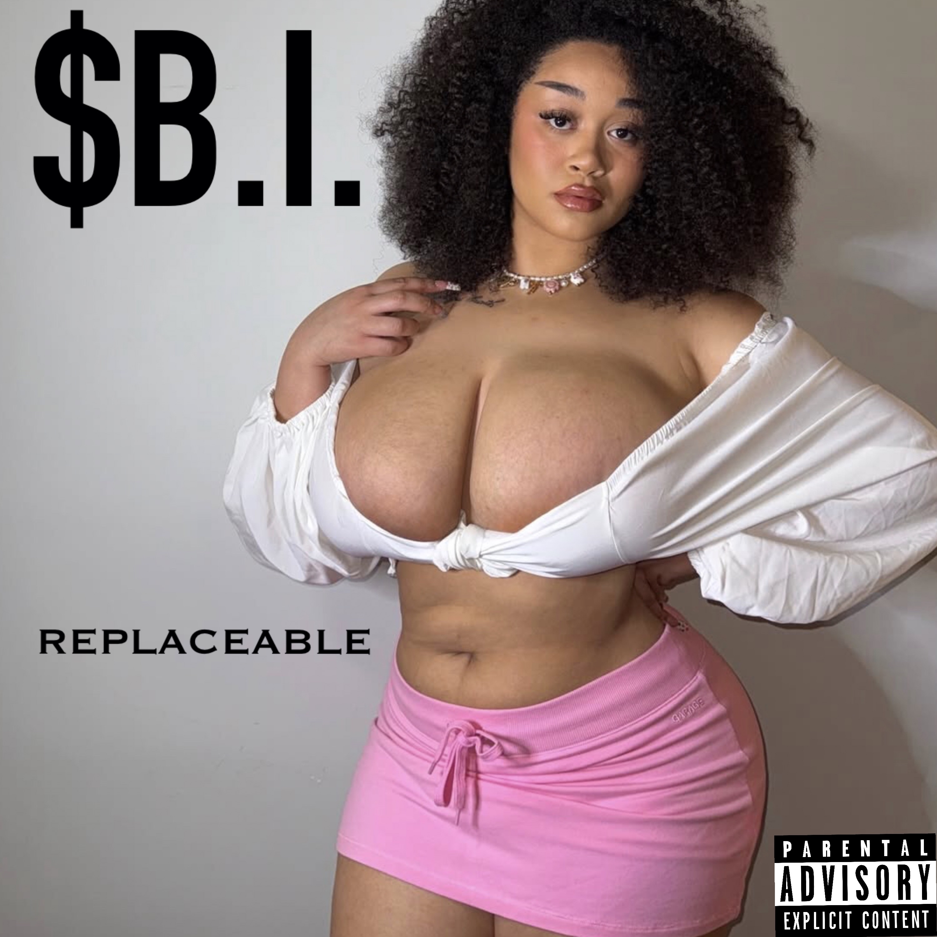 REPLACEABLE artwork
