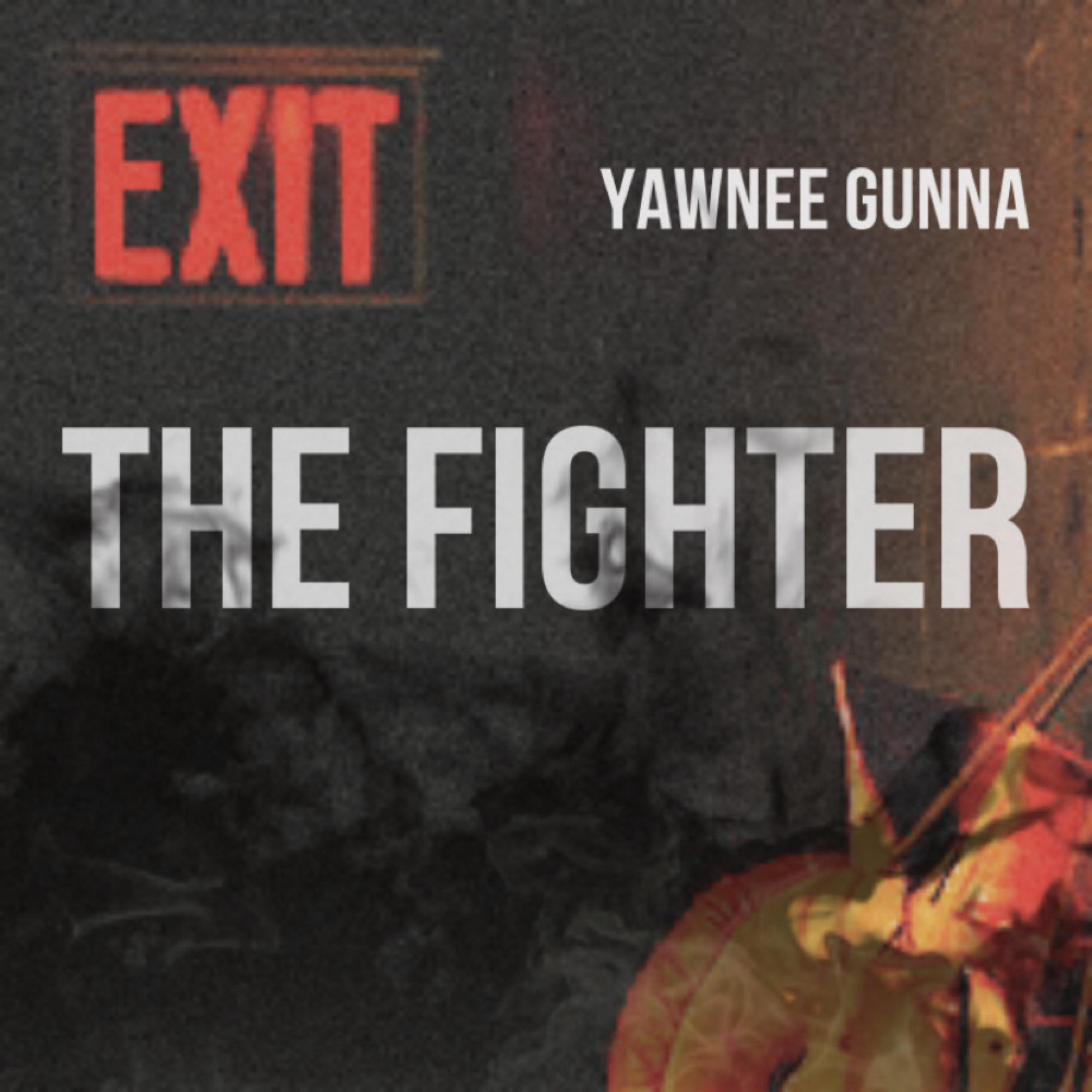 The Fighter artwork