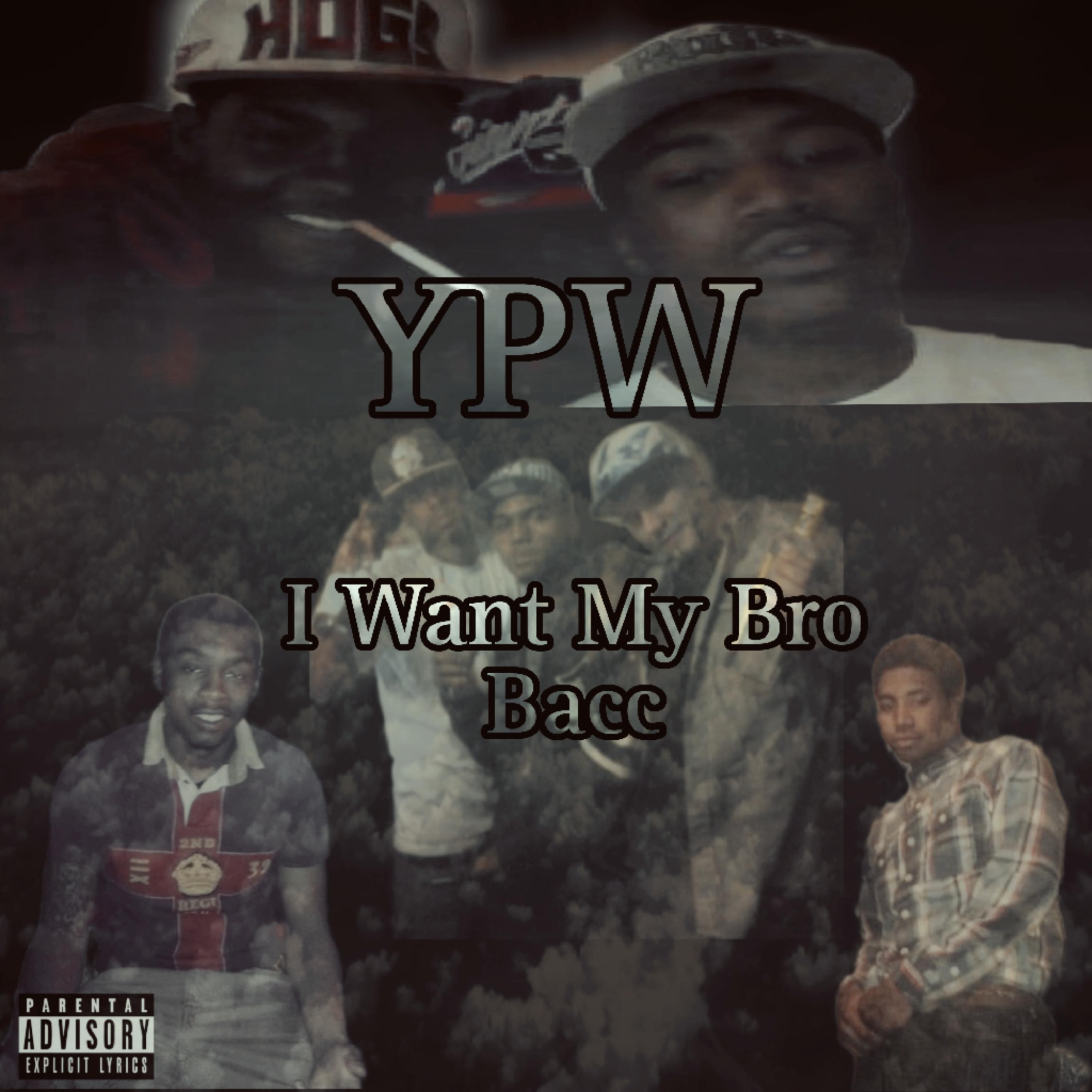 I Want My Bro Bacc artwork
