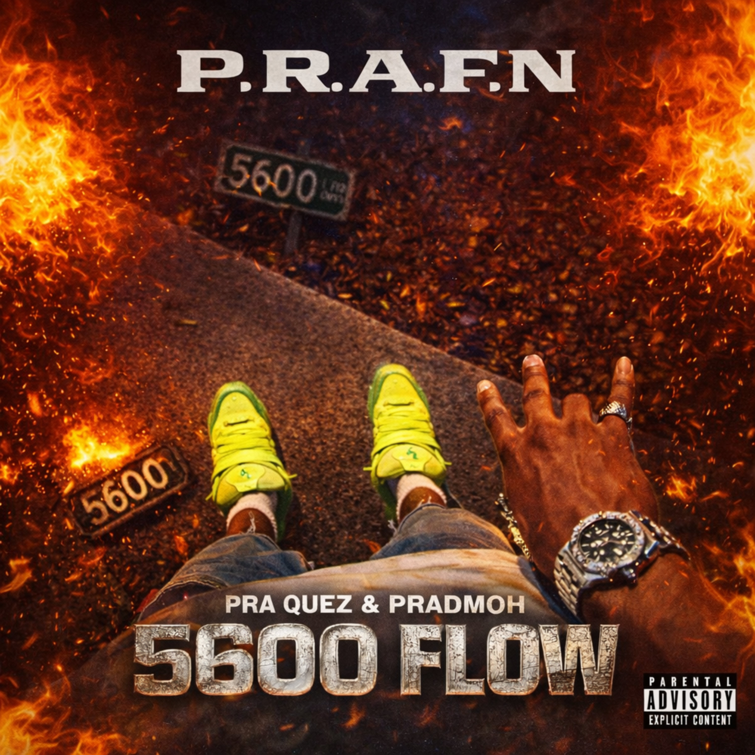 5600 Flow artwork