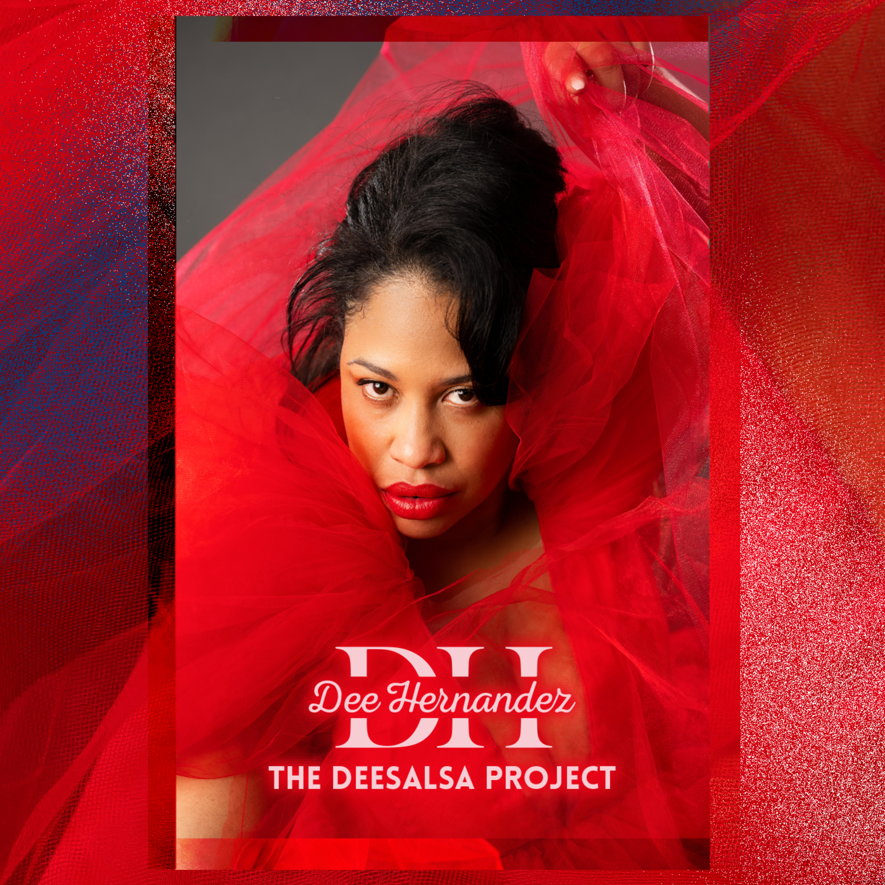 THE DEESALSA PROJECT artwork