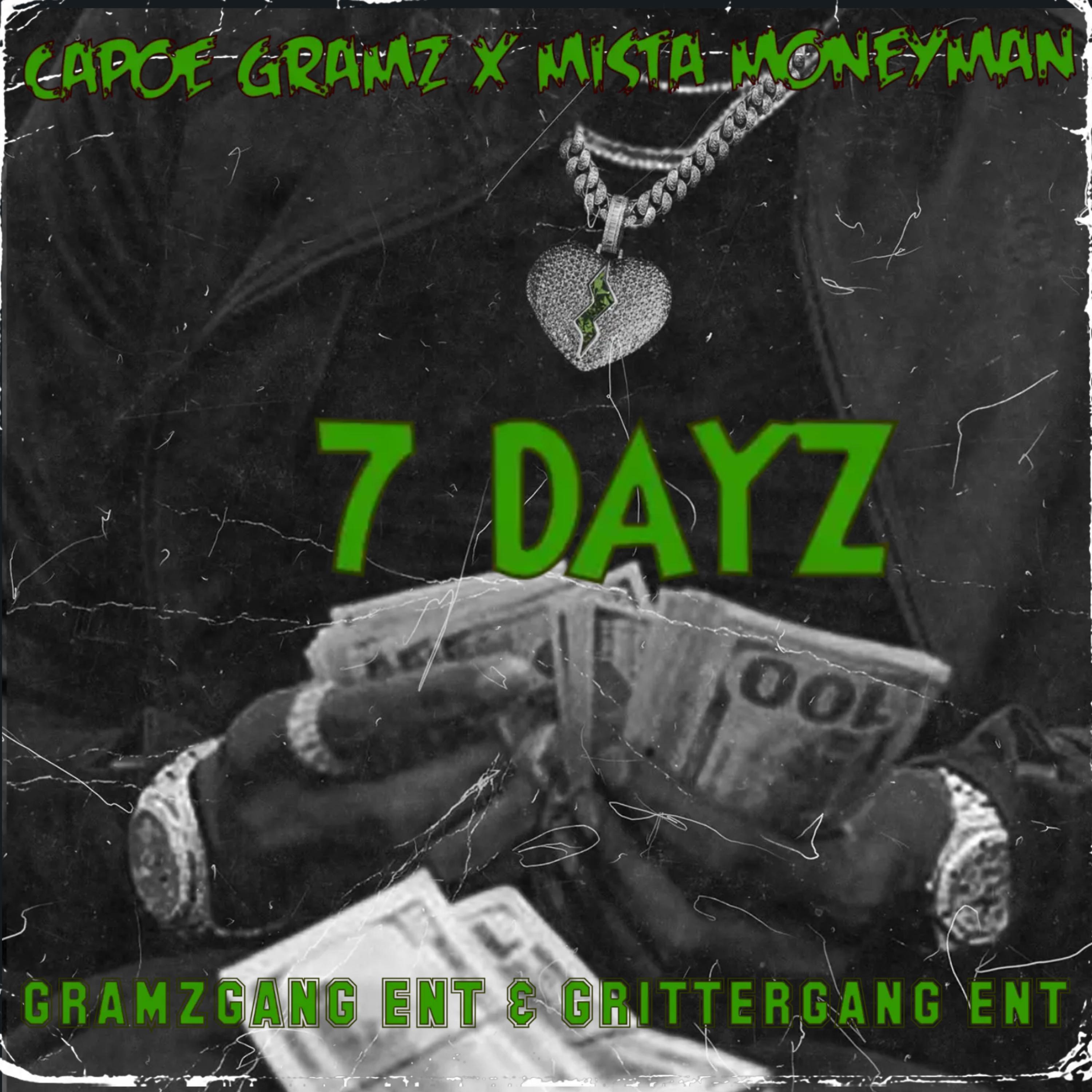7 DAYZ artwork