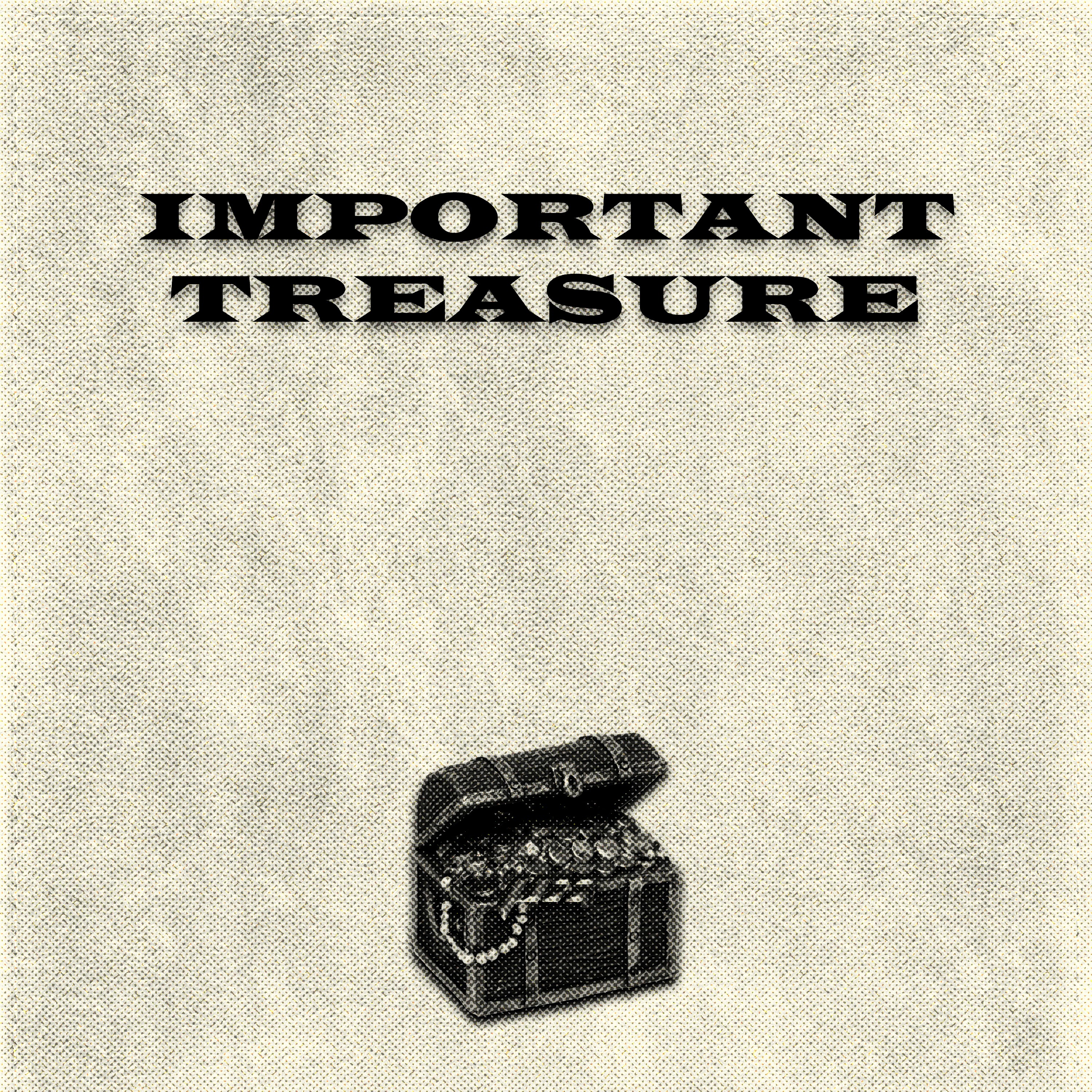 IMPORTANT TREASURE artwork