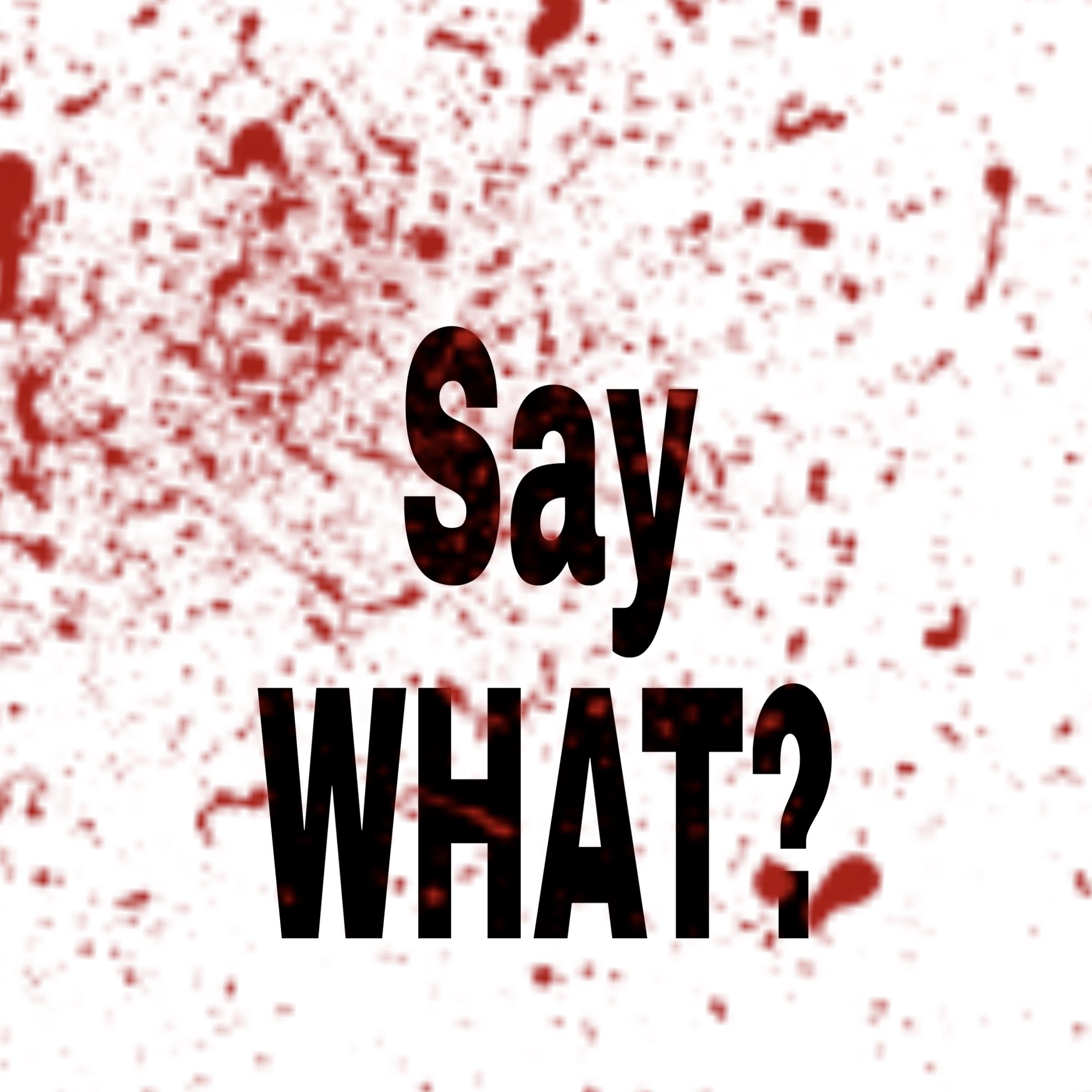 say what? by rrsosa! cover art