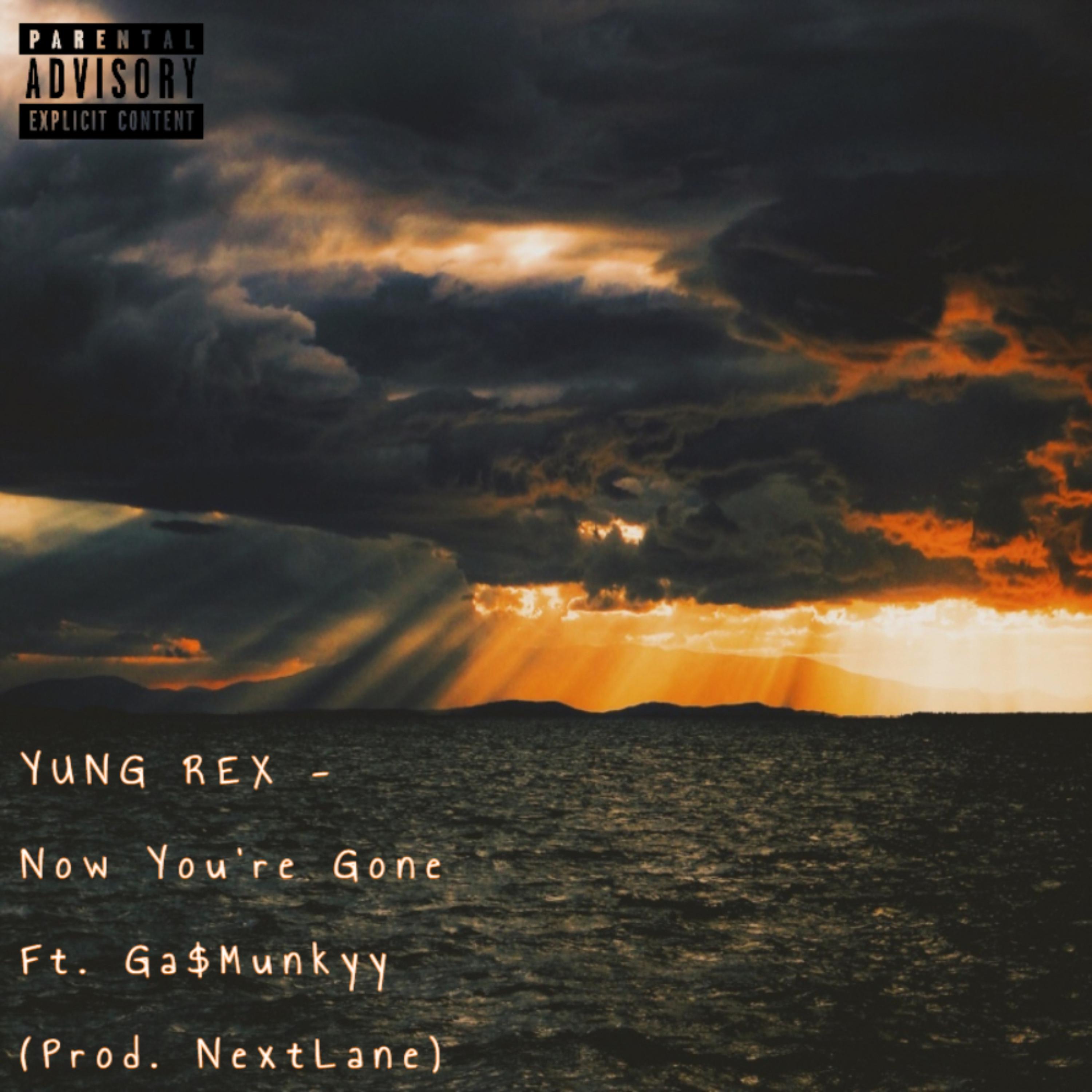 Now You're Gone artwork