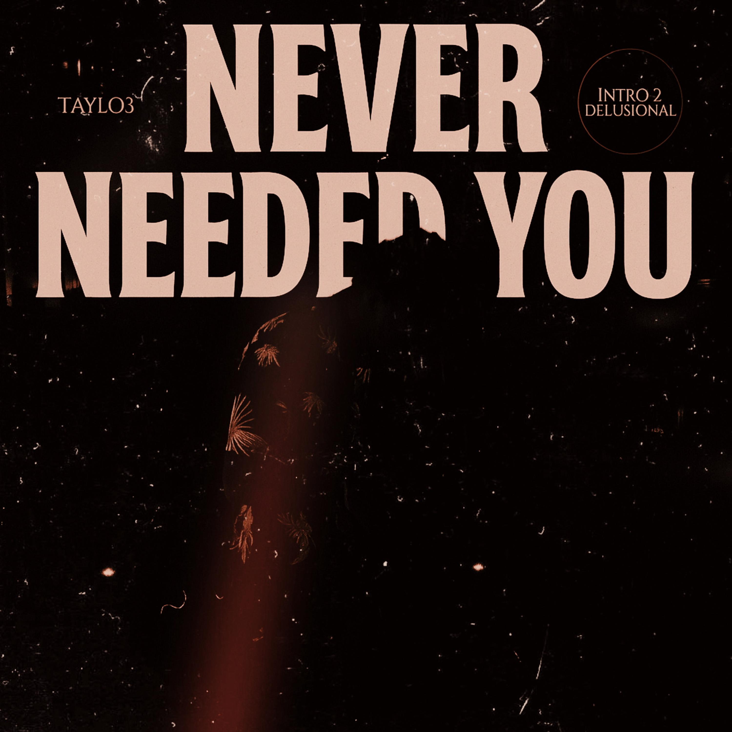 Never Needed You artwork