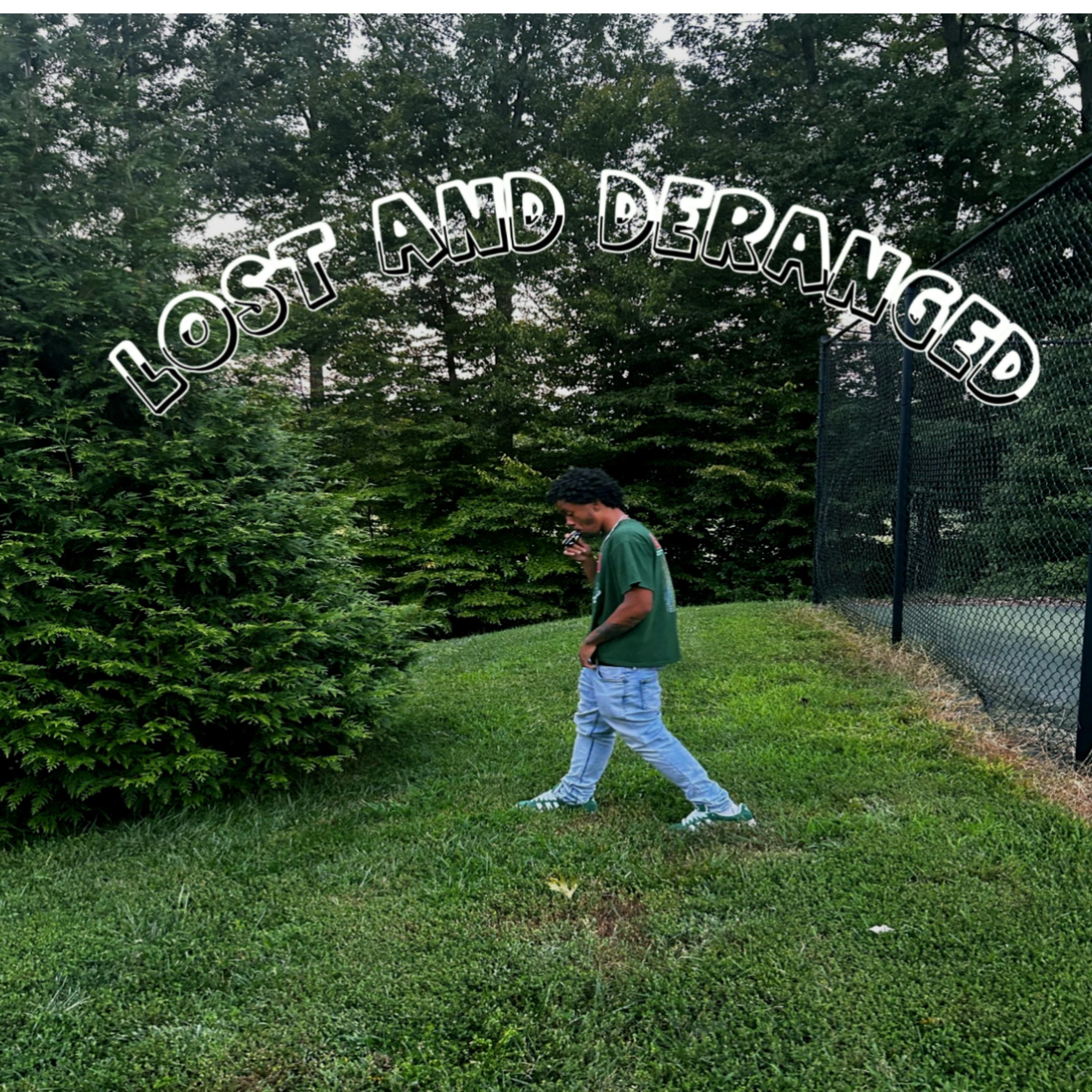 Lost and deranged by zi cover art