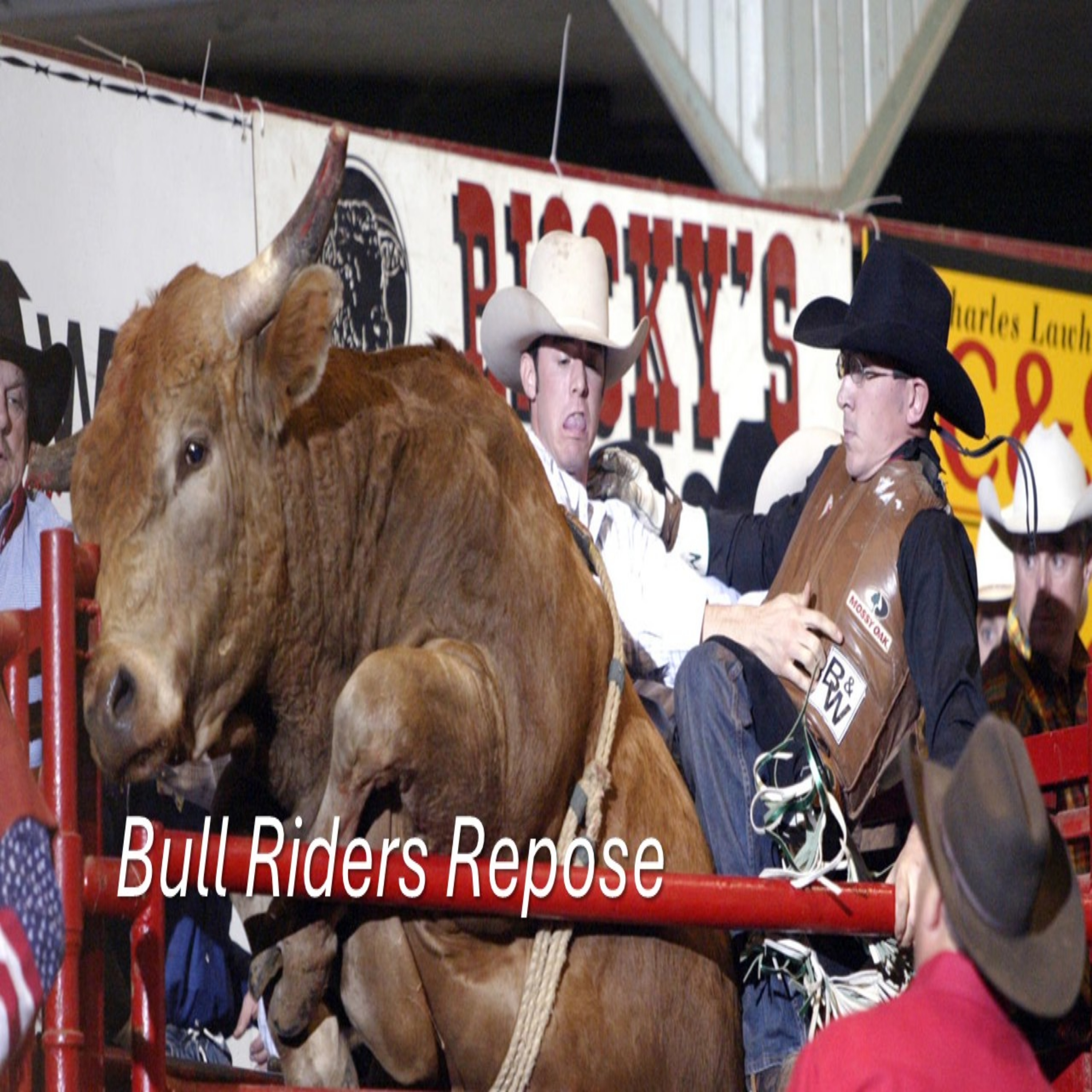 Bull Riders Repose artwork