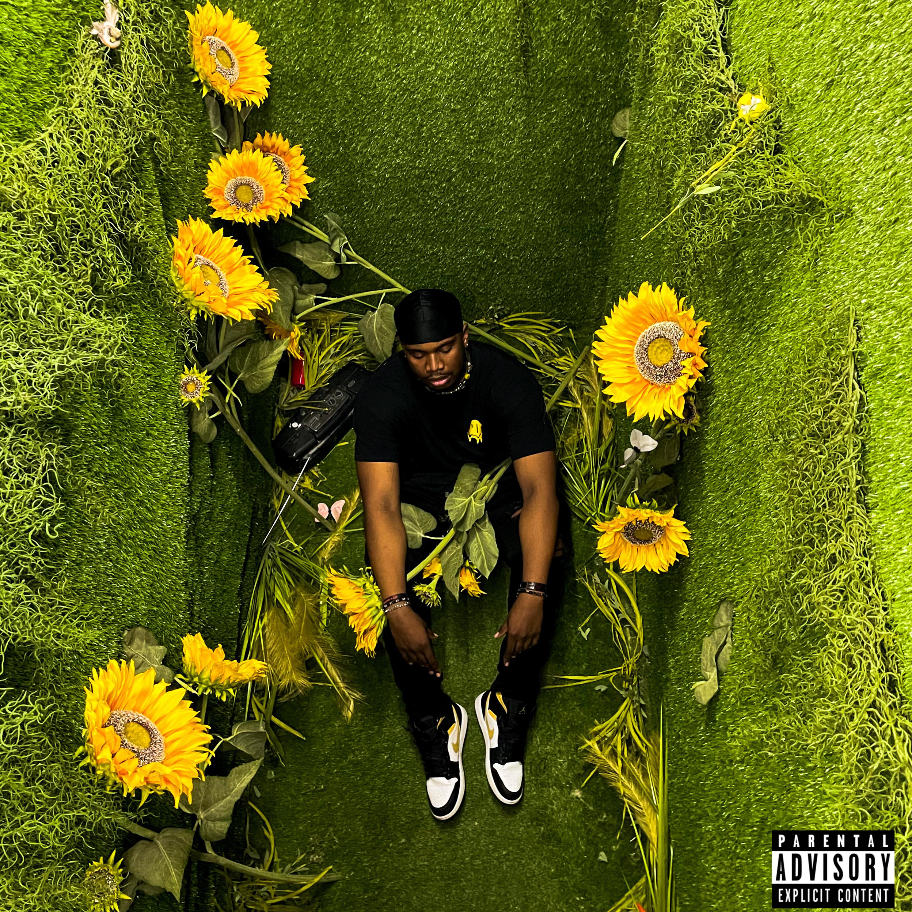 S.M.D artwork
