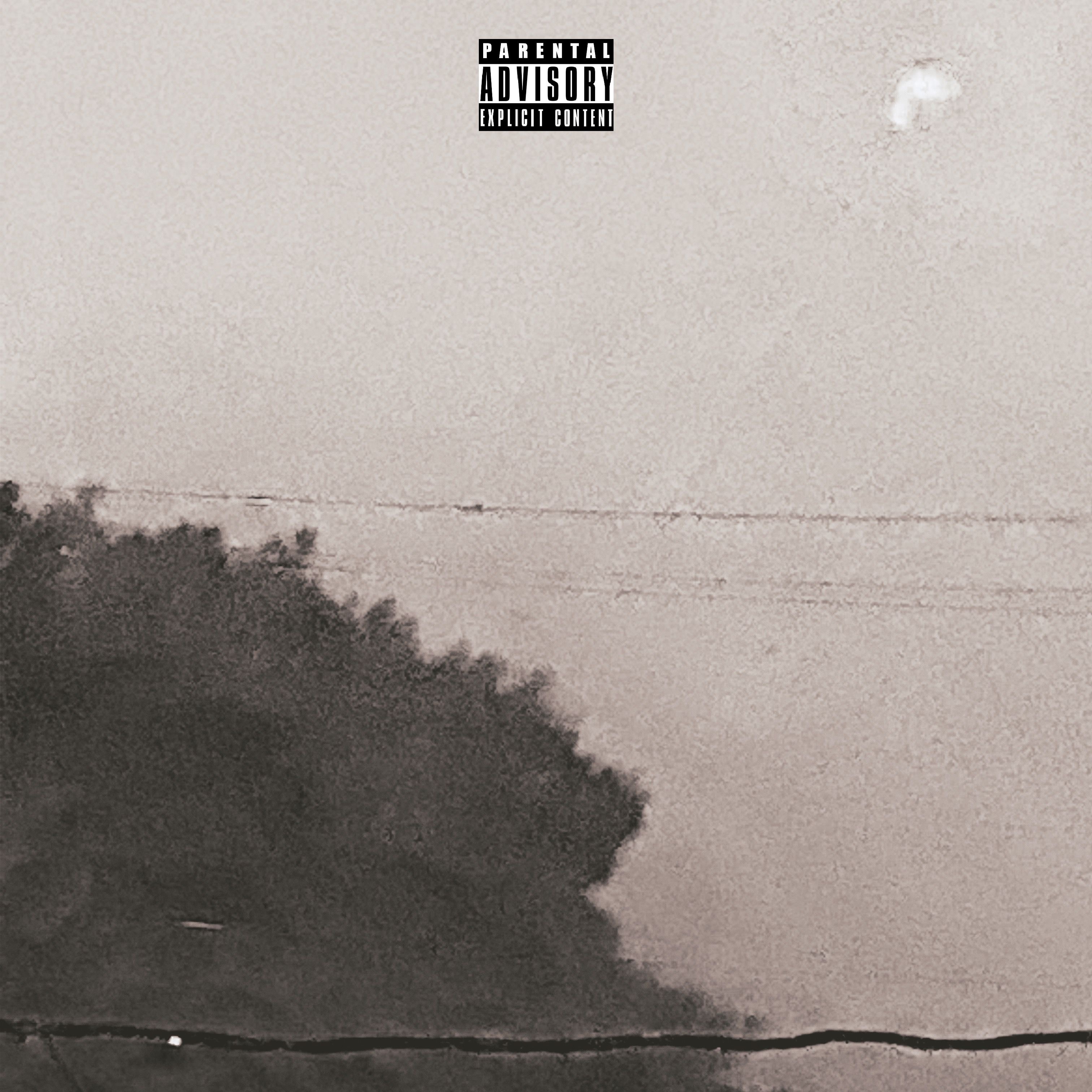 Money Don't Grow On Trees artwork