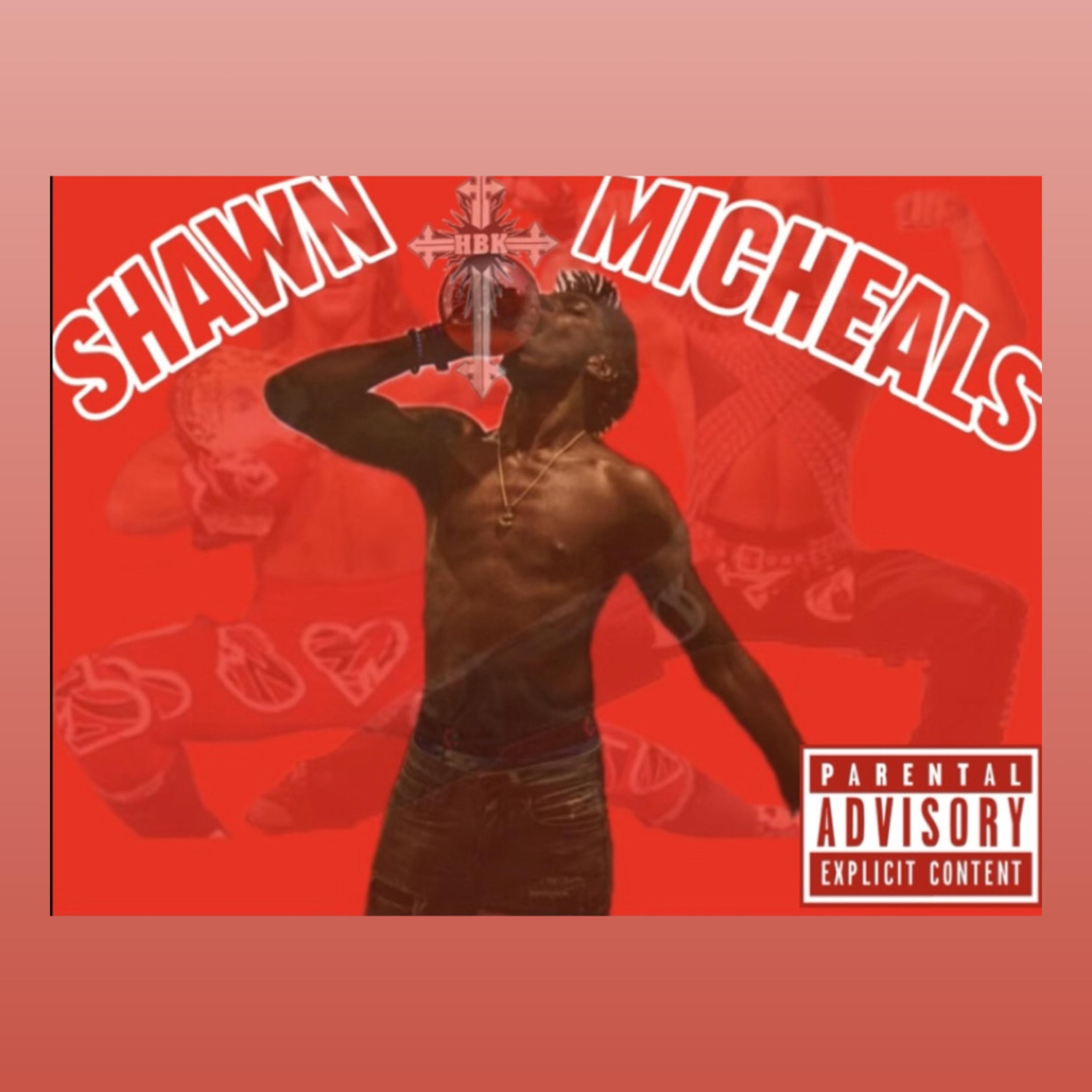 Shawn Micheals artwork