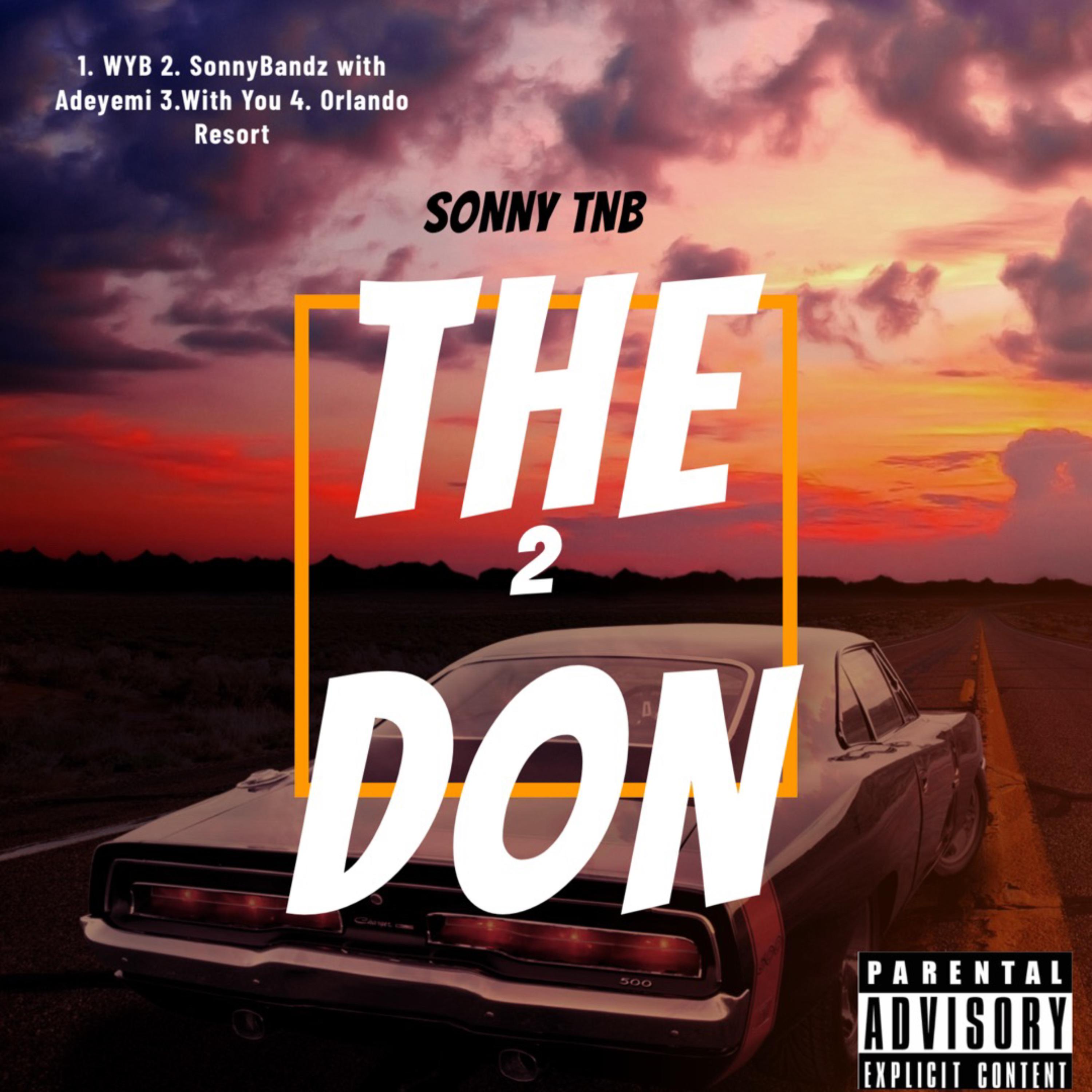 Sonny The Don 2 artwork