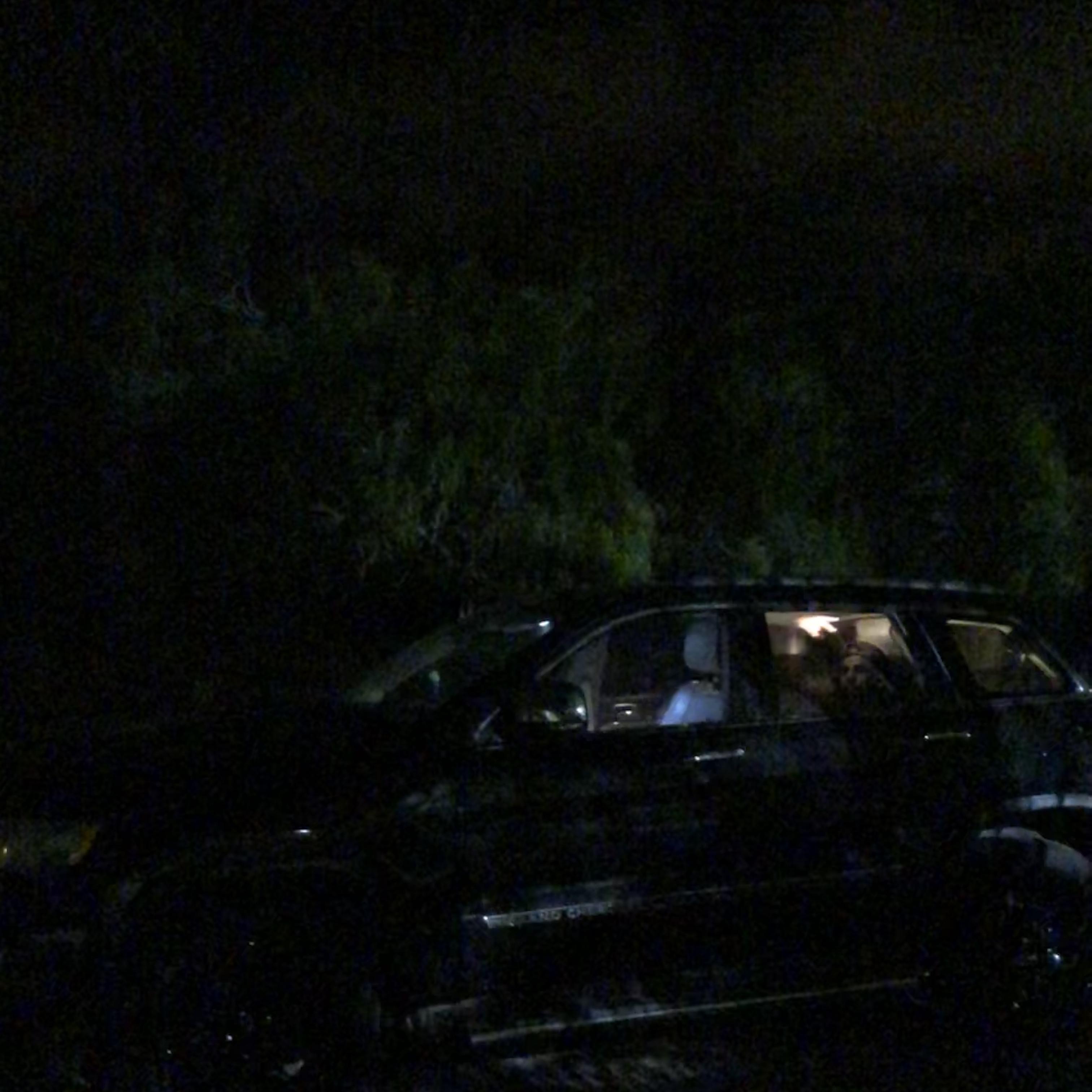 Stepping In The Dark artwork