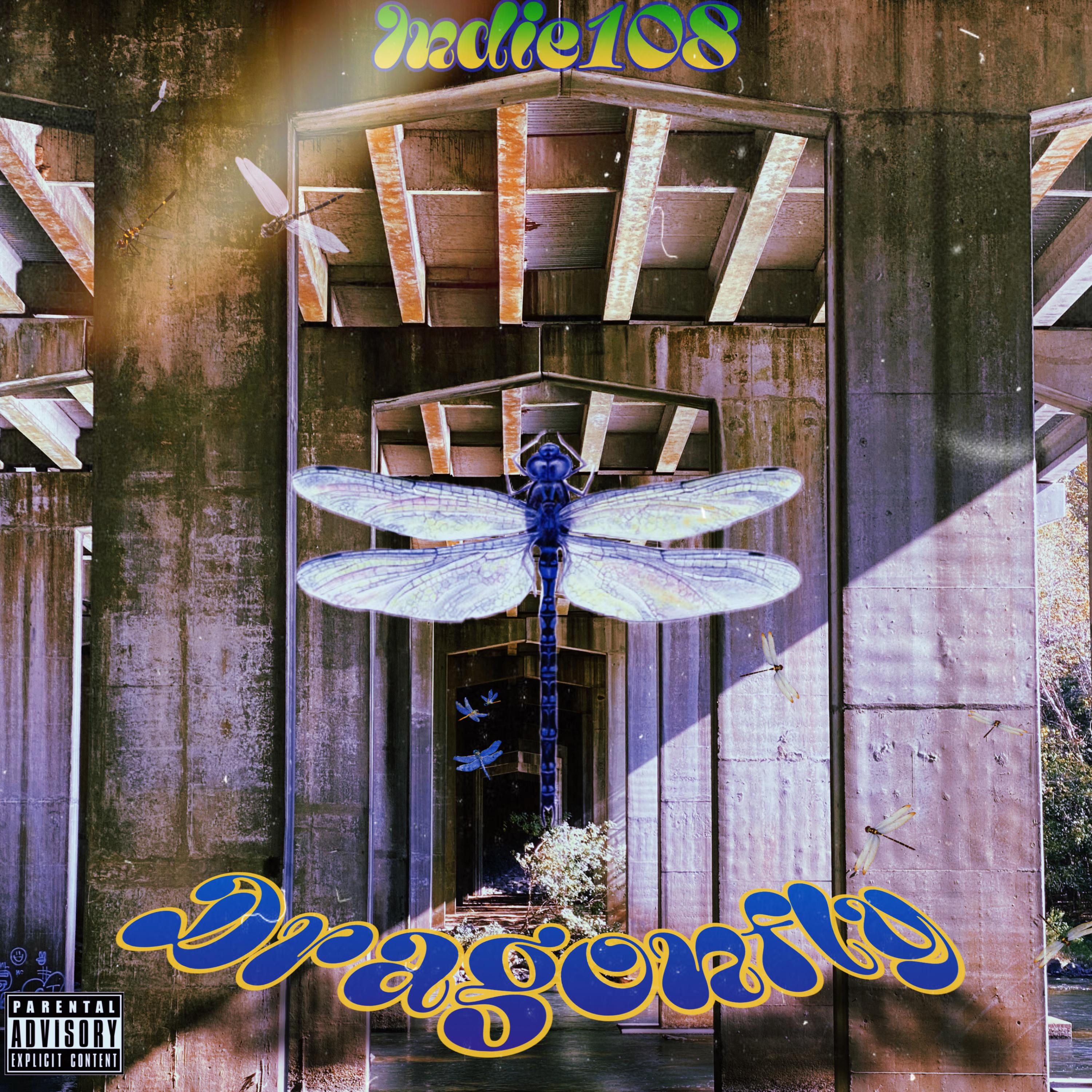 DRAGONFLY artwork
