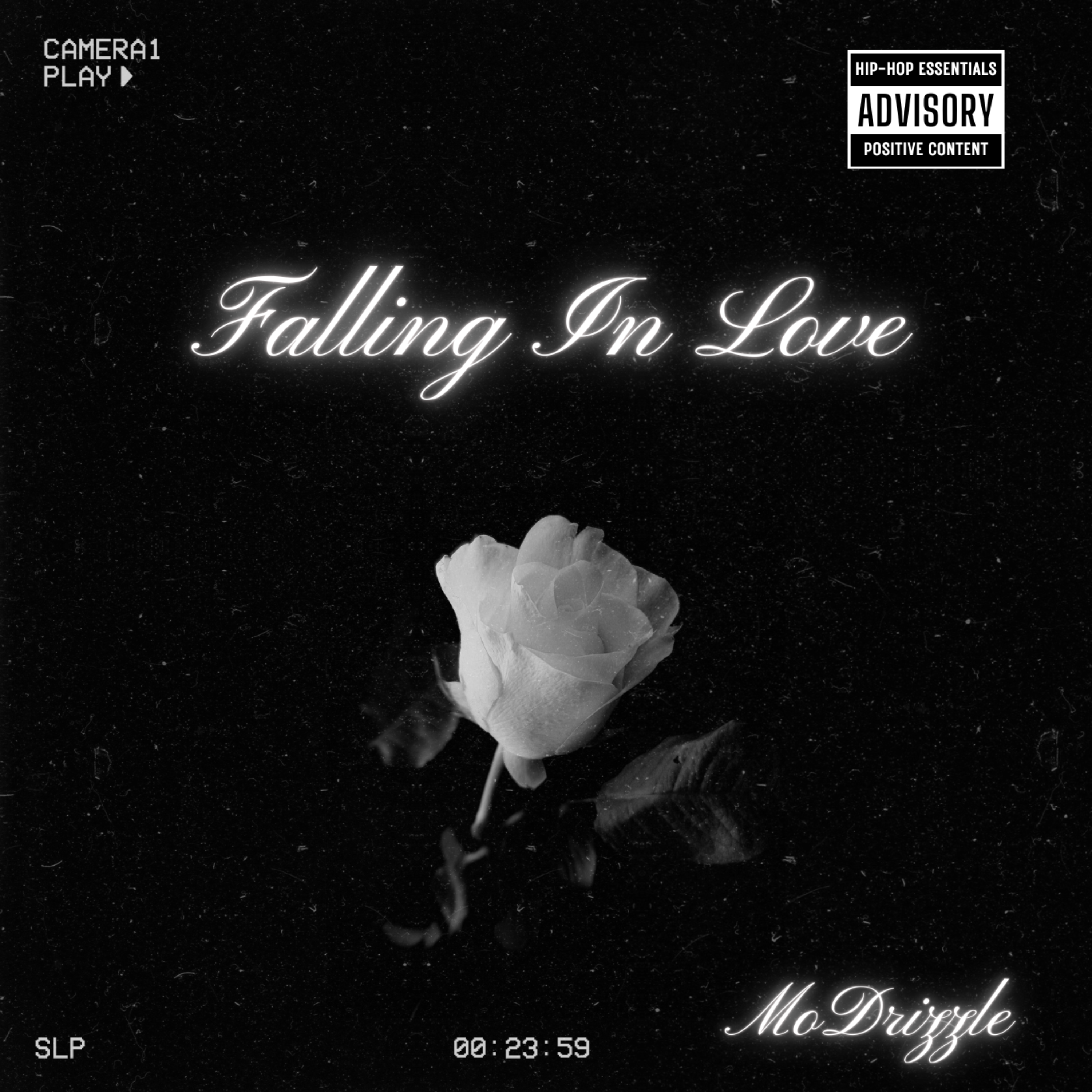 Falling In Love artwork