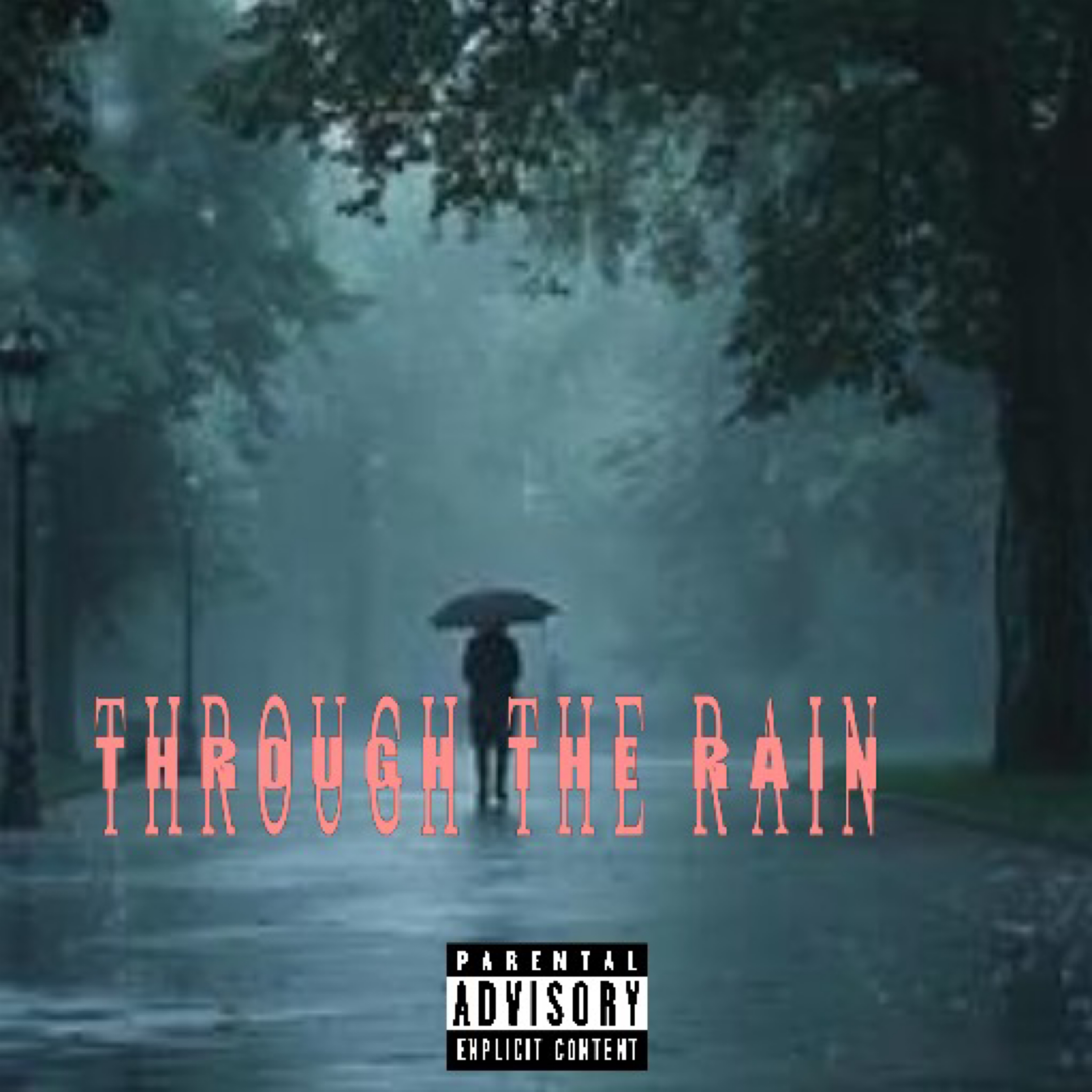 Through The Rain artwork