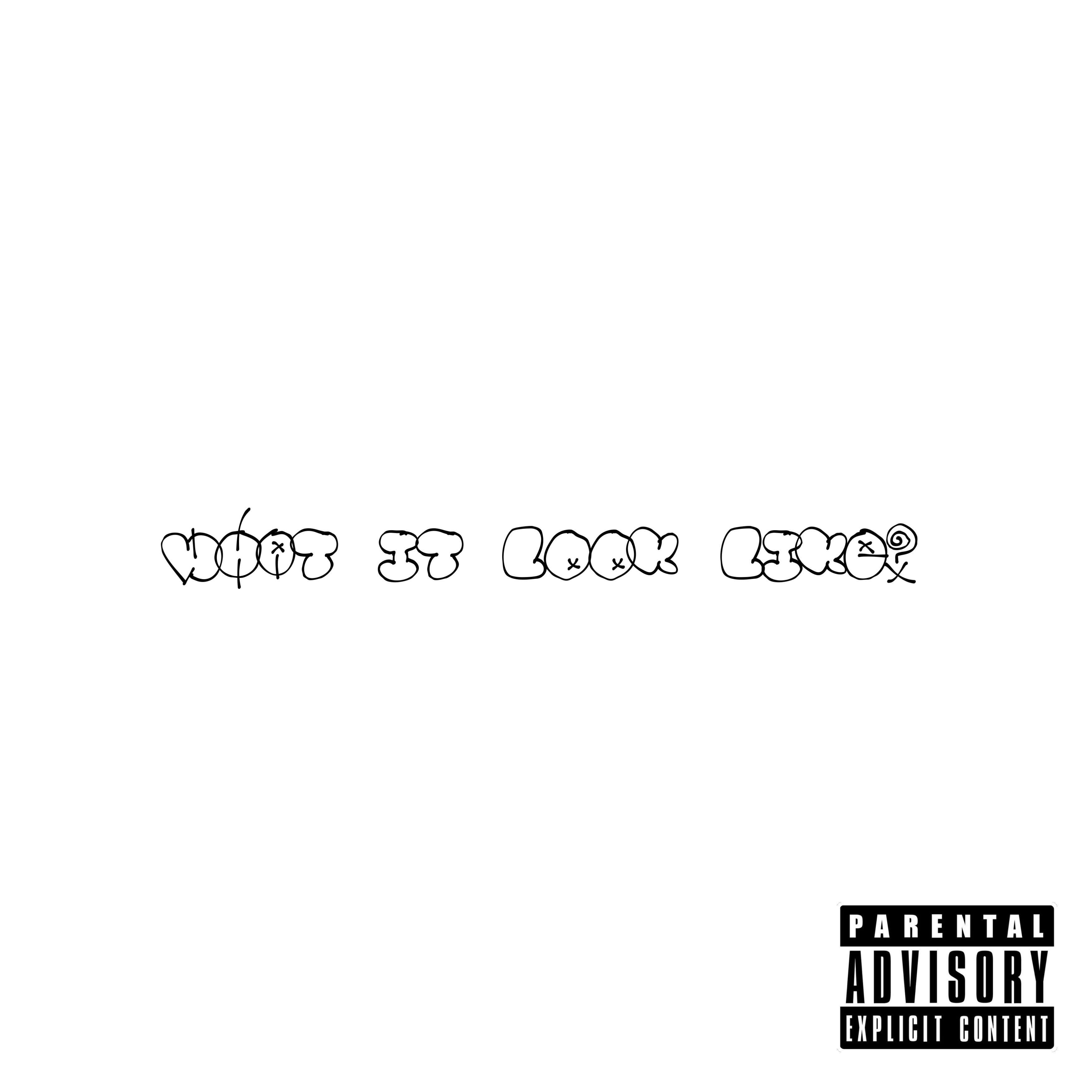 WHAT IT LOOK LIKE? artwork