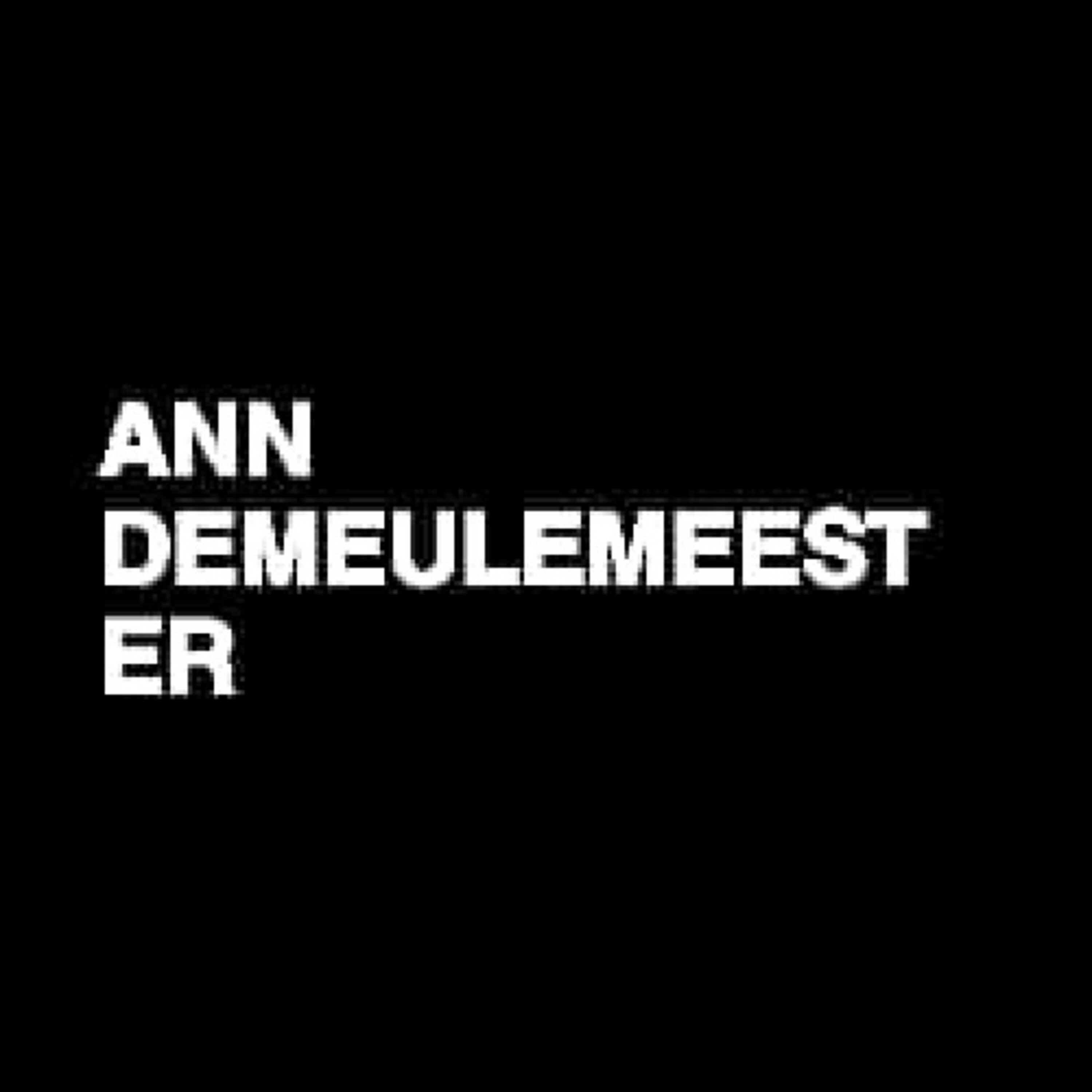 Ann Demeulemeester by Raf Santana cover art