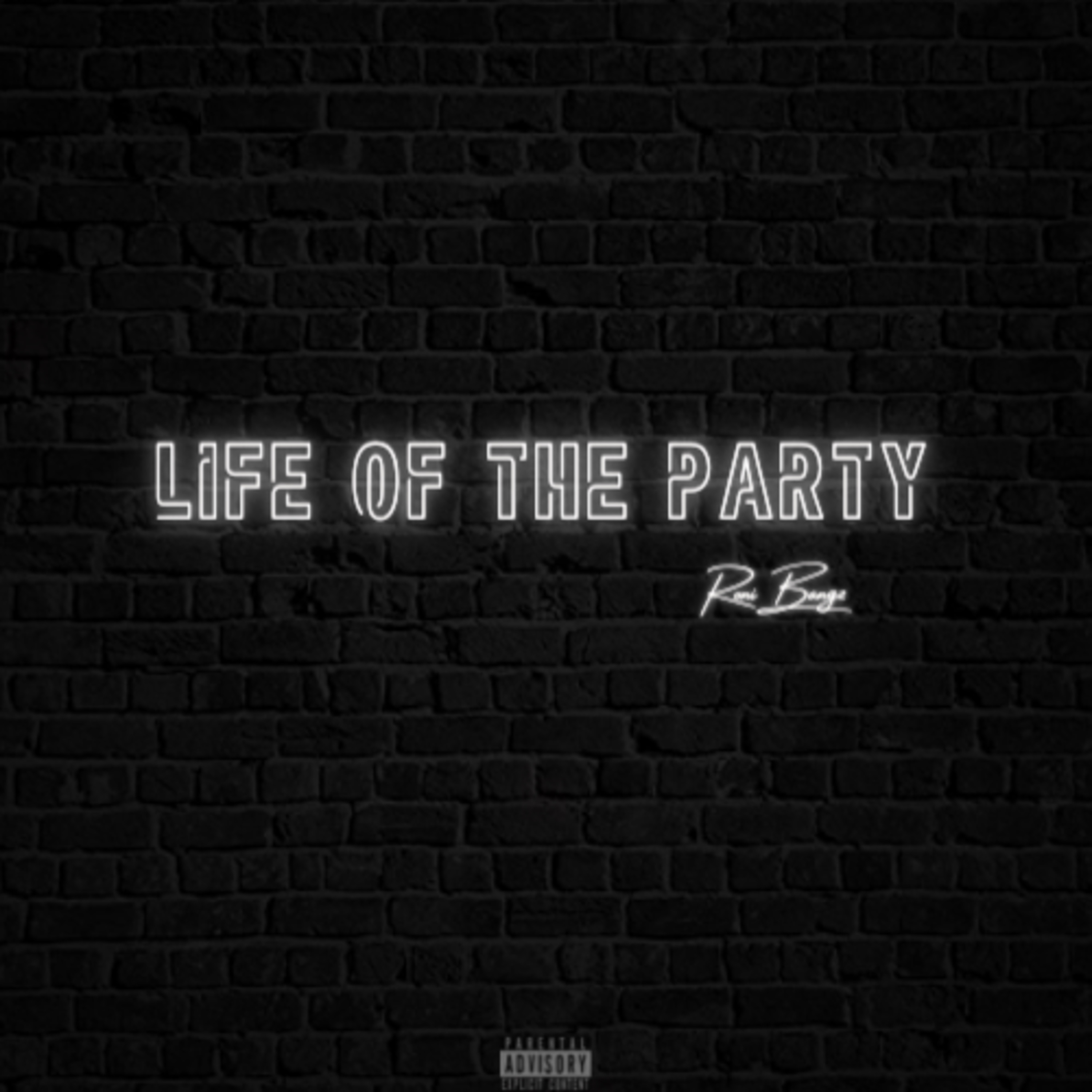 lifeoftheparty artwork