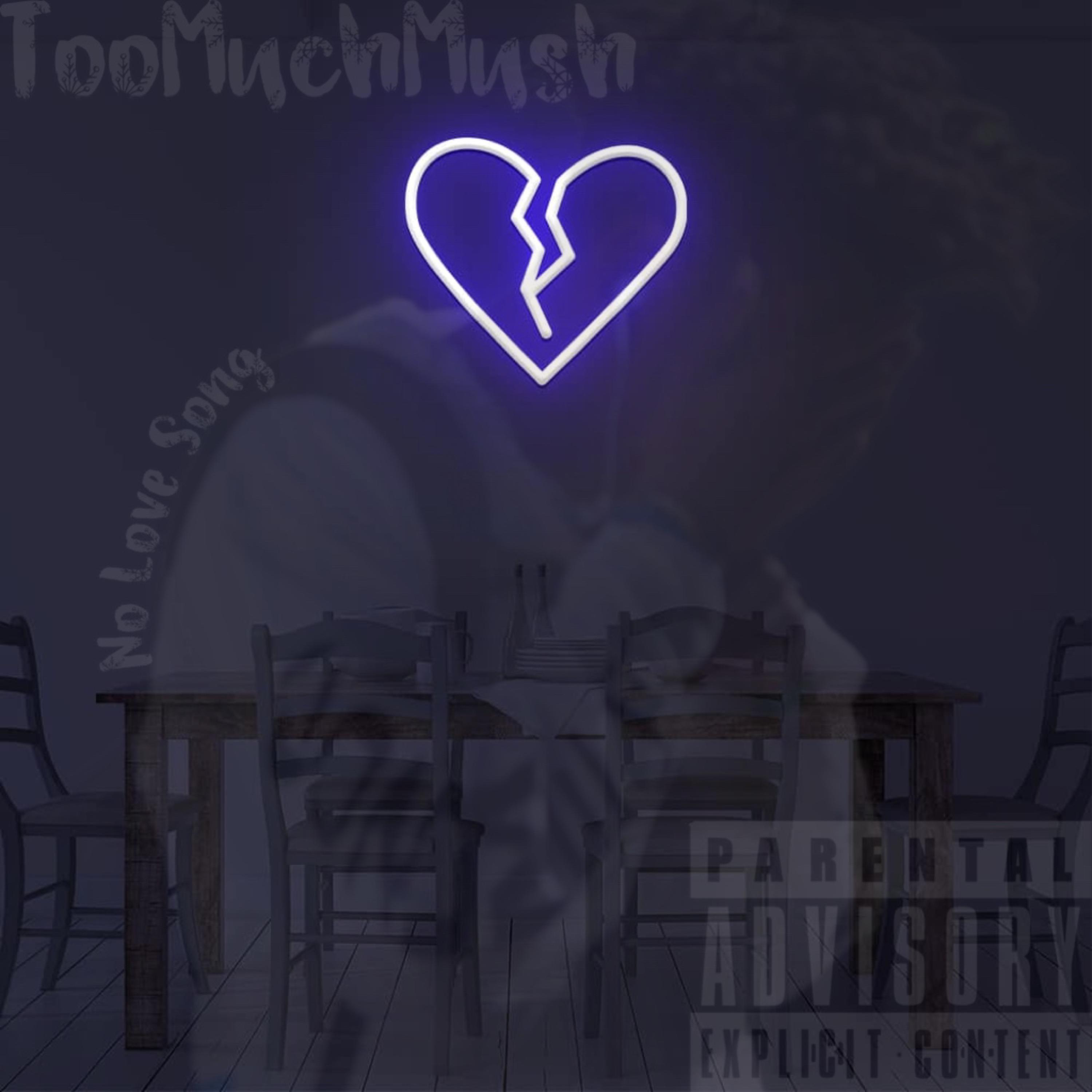 No Love Song by TOOMUCHMUSH cover art