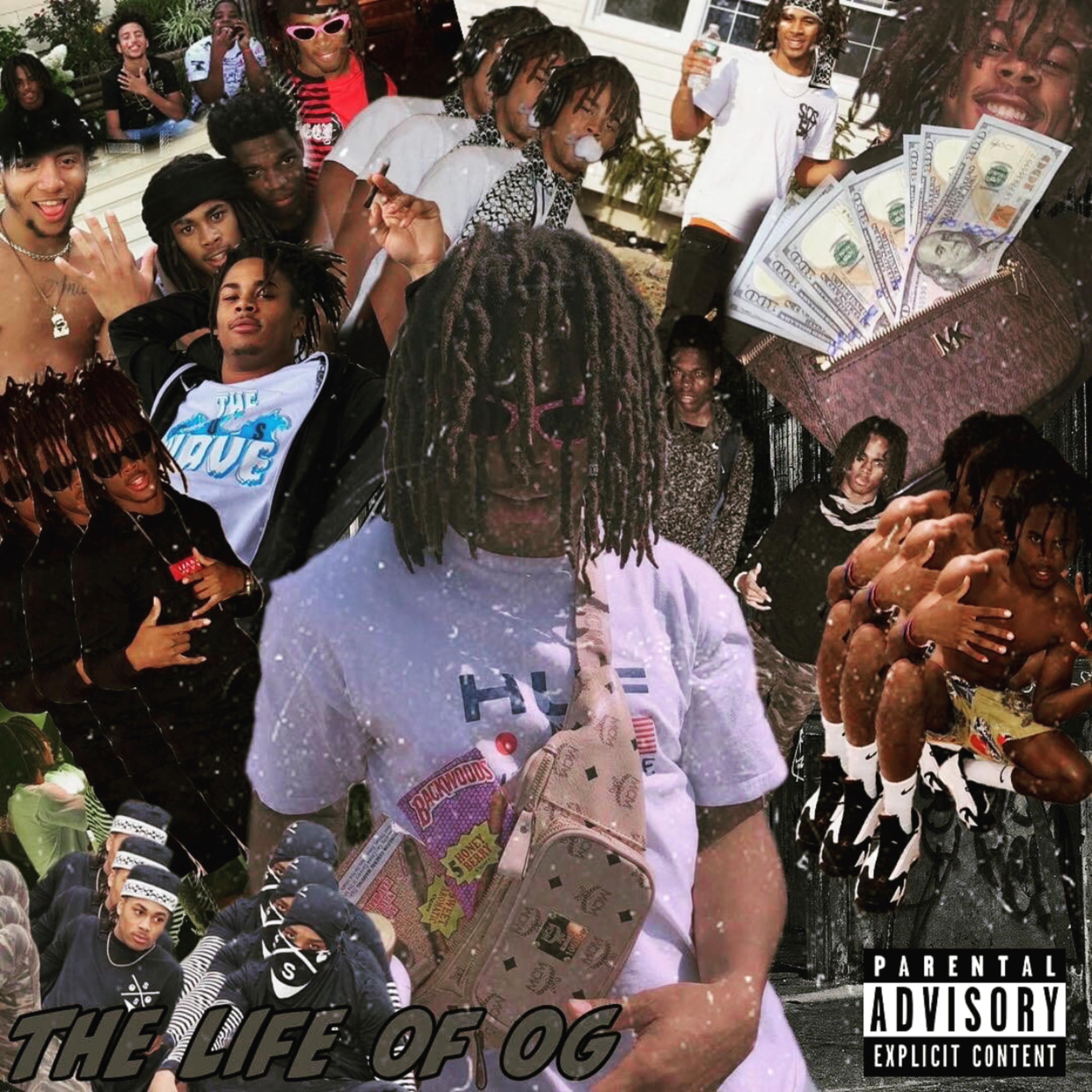 The Life of OG artwork