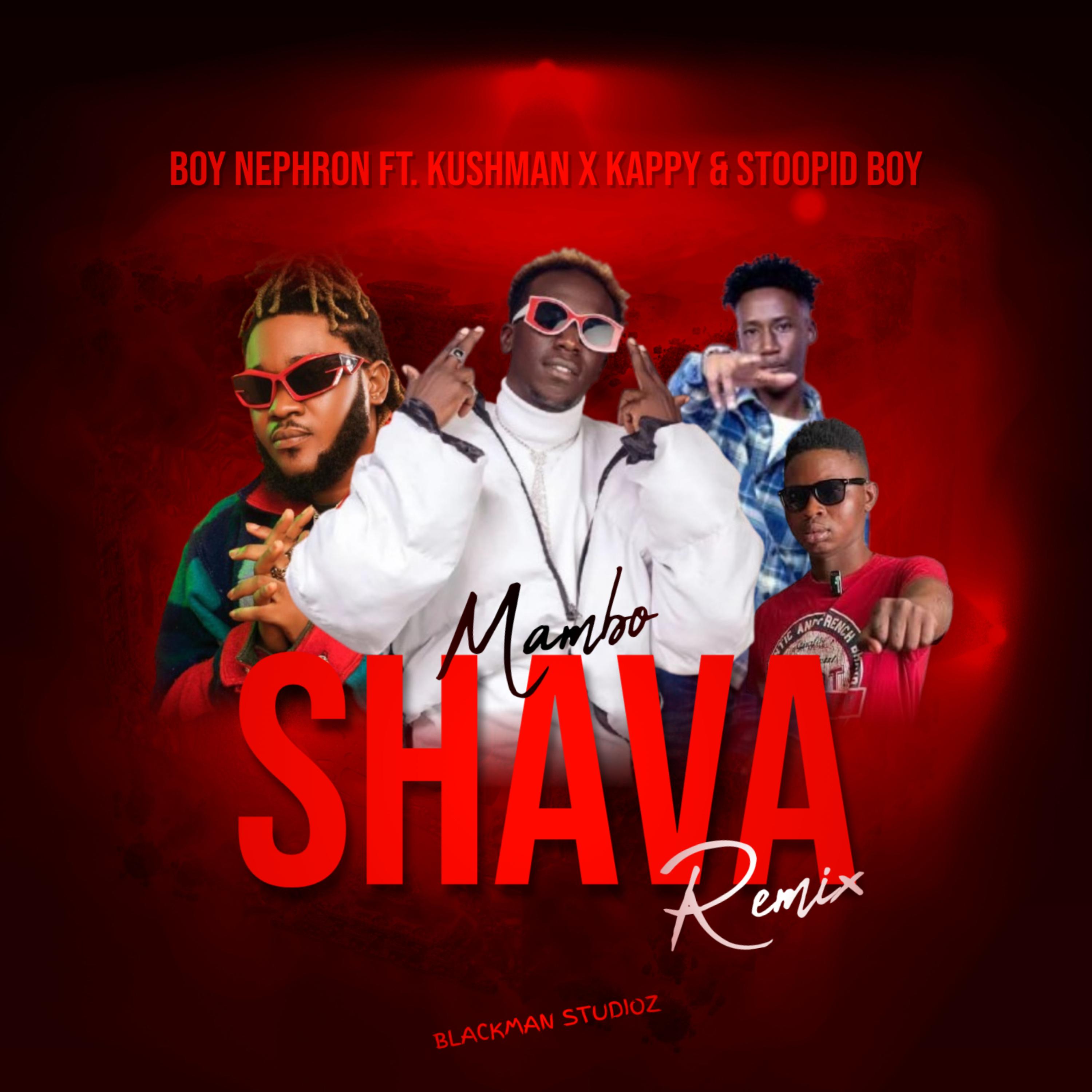 Mambo Shava (Remix) artwork