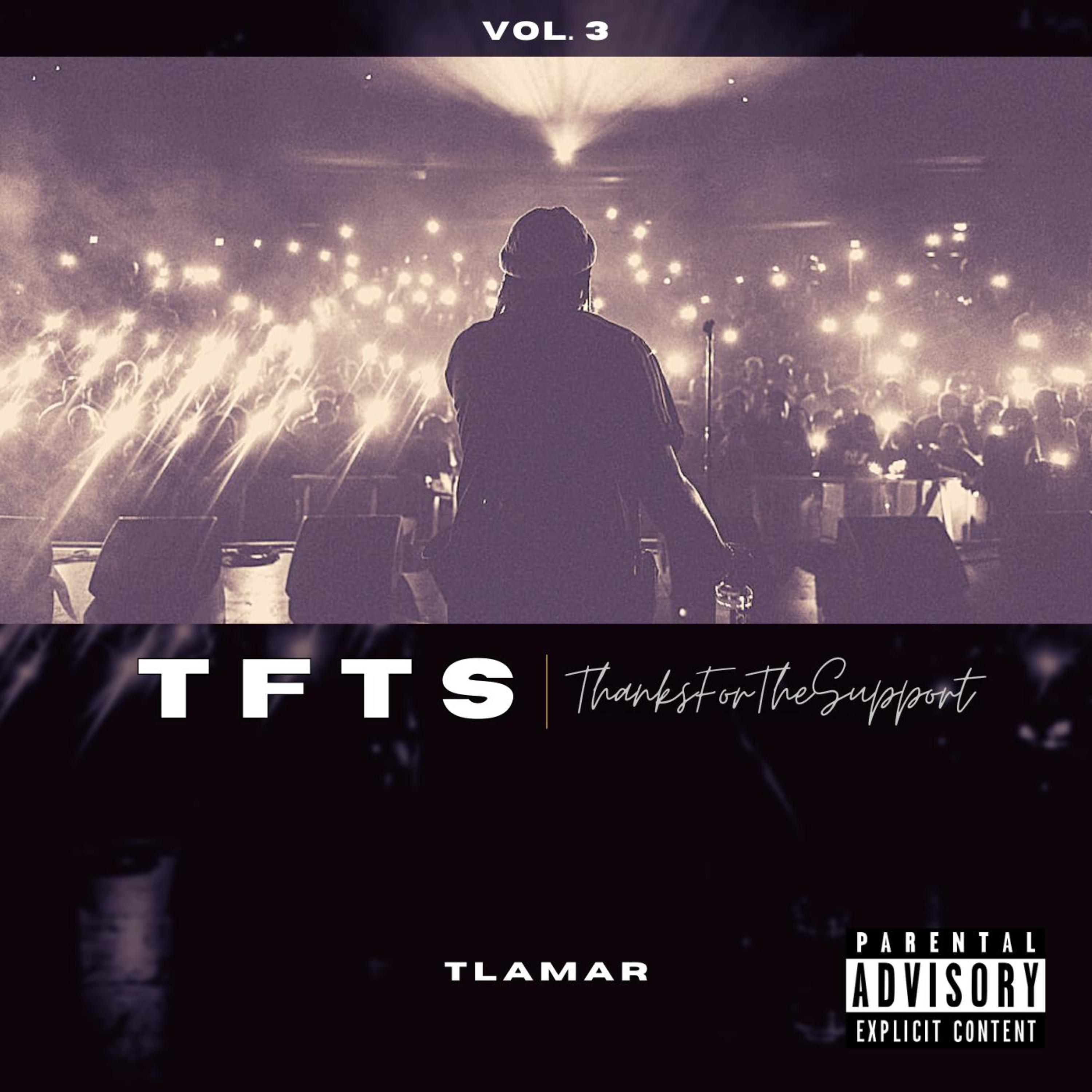TFTS 3(Thanks For The Support 3) artwork