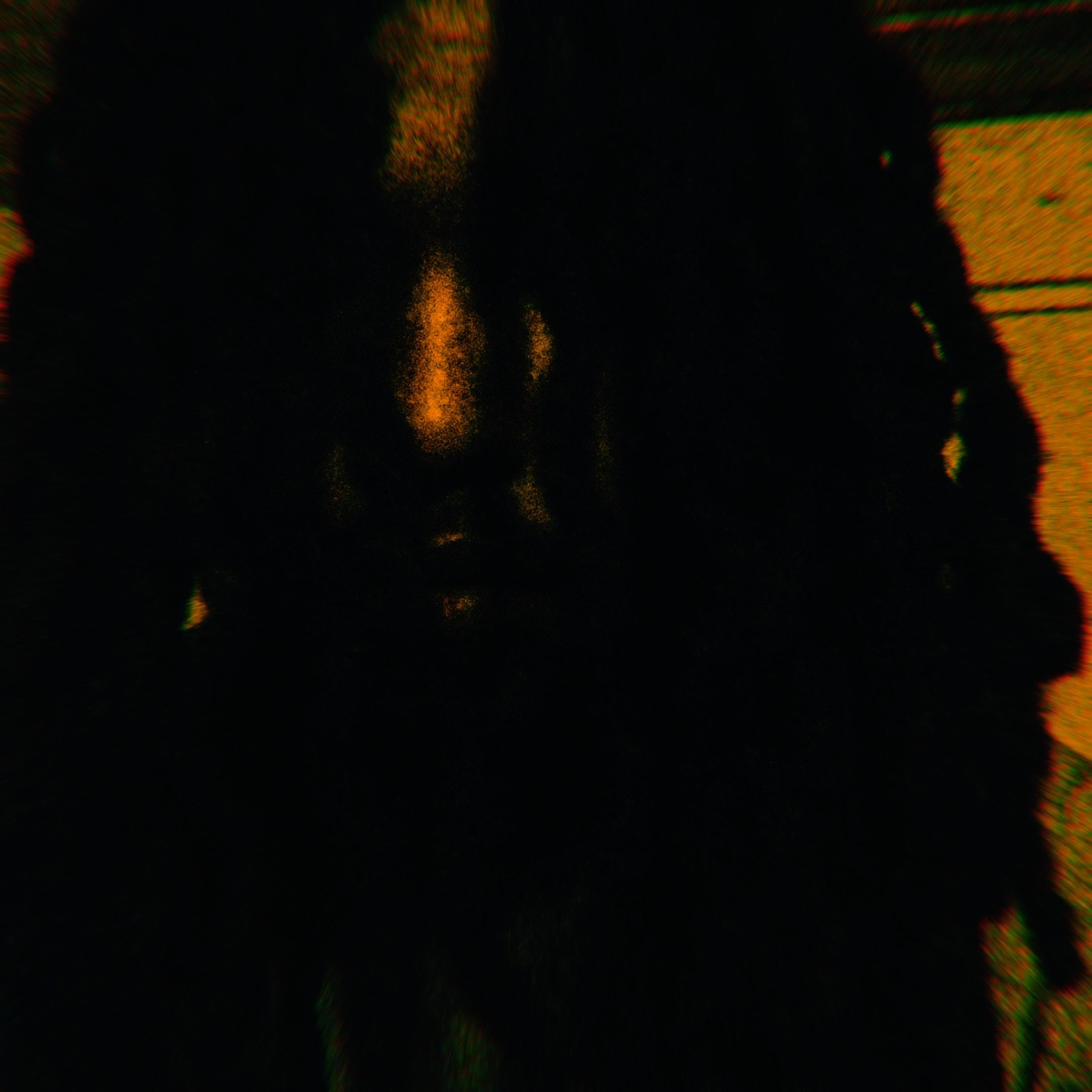 BEFORE THE ITIS 2 artwork