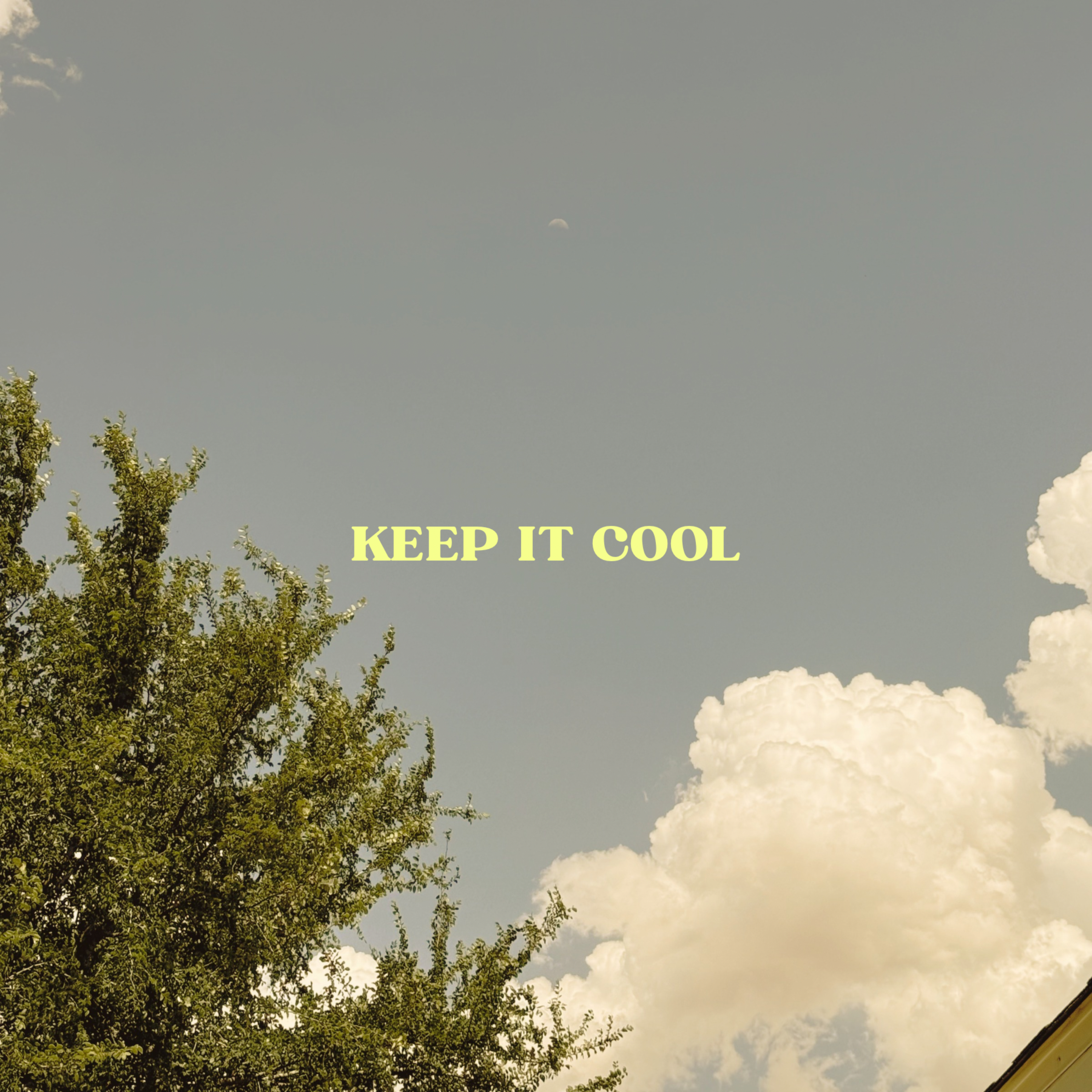 Keep It Cool by Shmoobro cover art