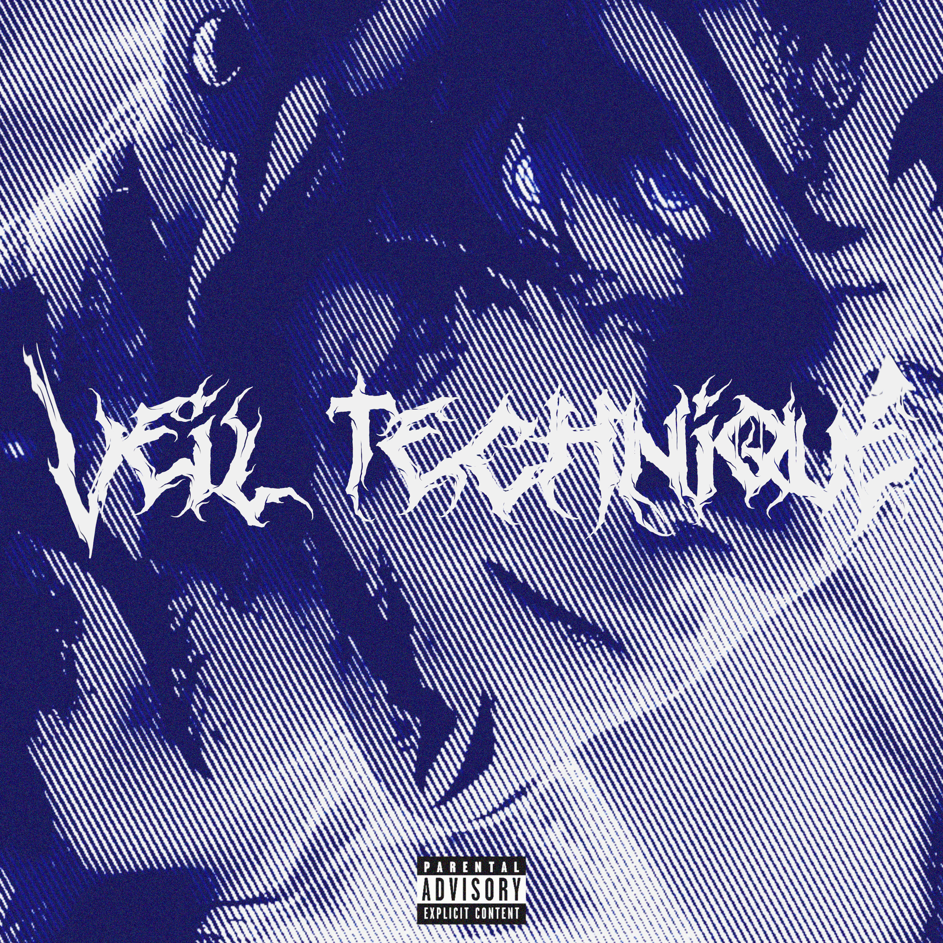 Veil Technique artwork
